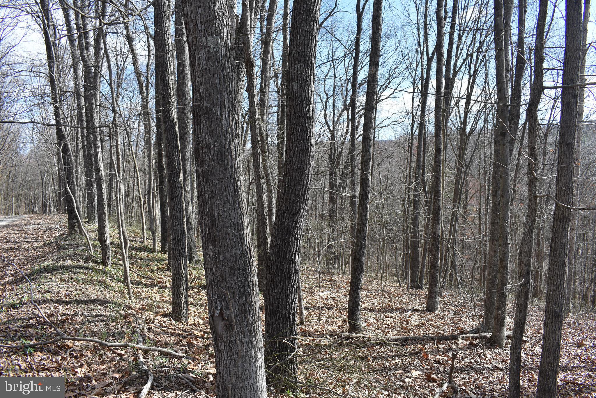 SLEEPY CREEK FOREST - Land