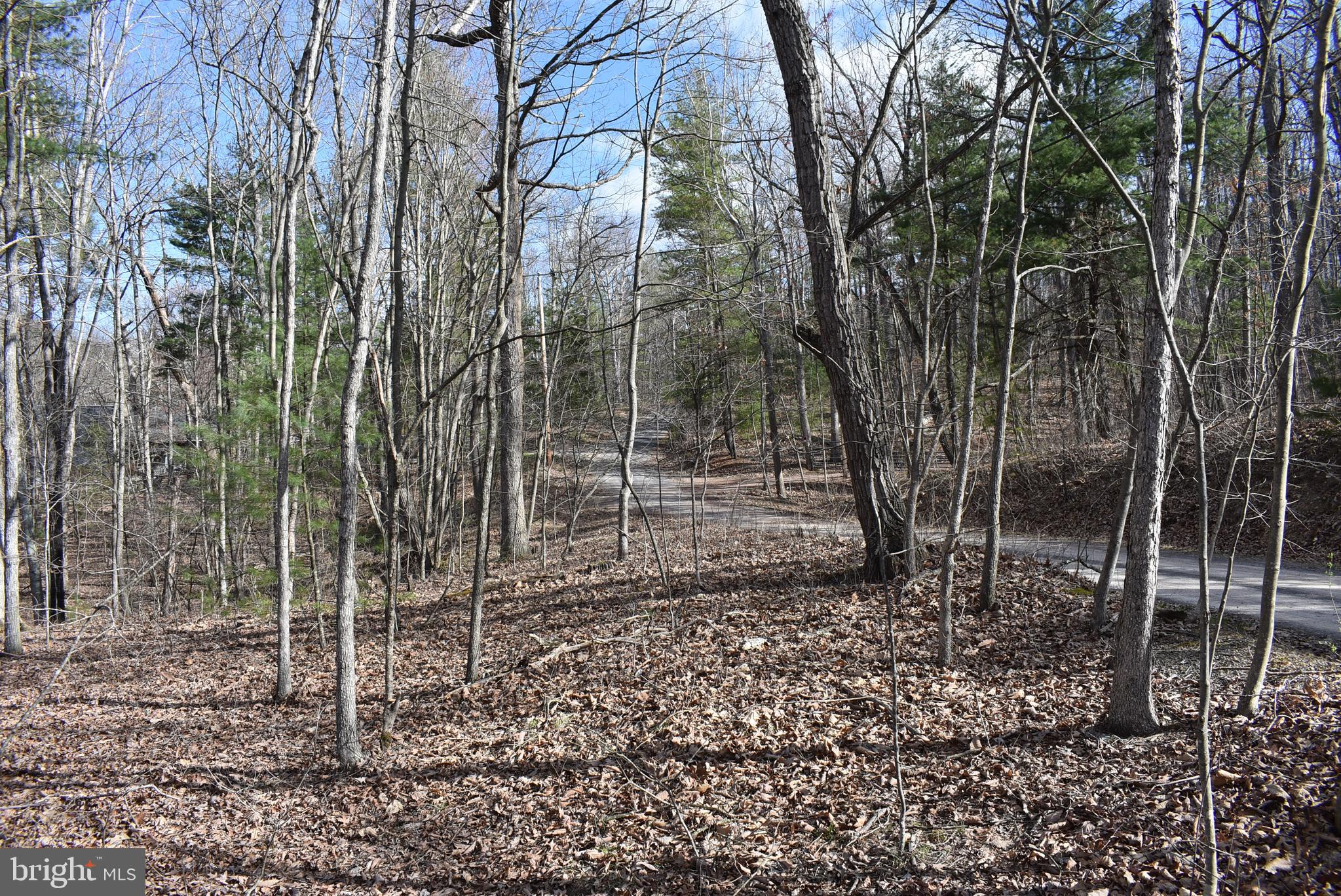 SLEEPY CREEK FOREST - Land