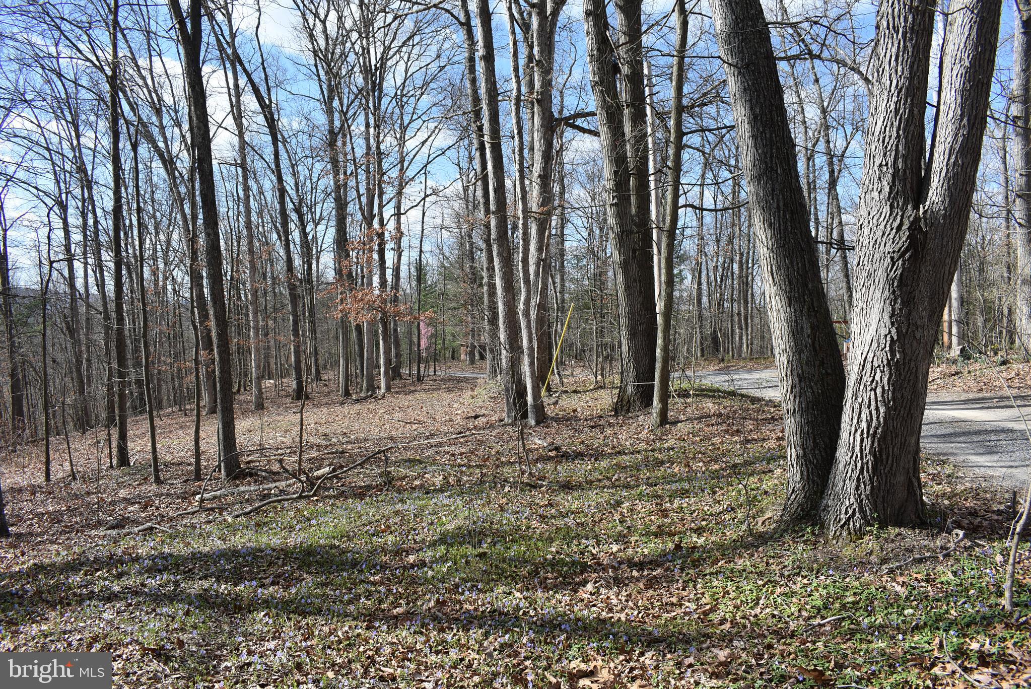 SLEEPY CREEK FOREST - Land