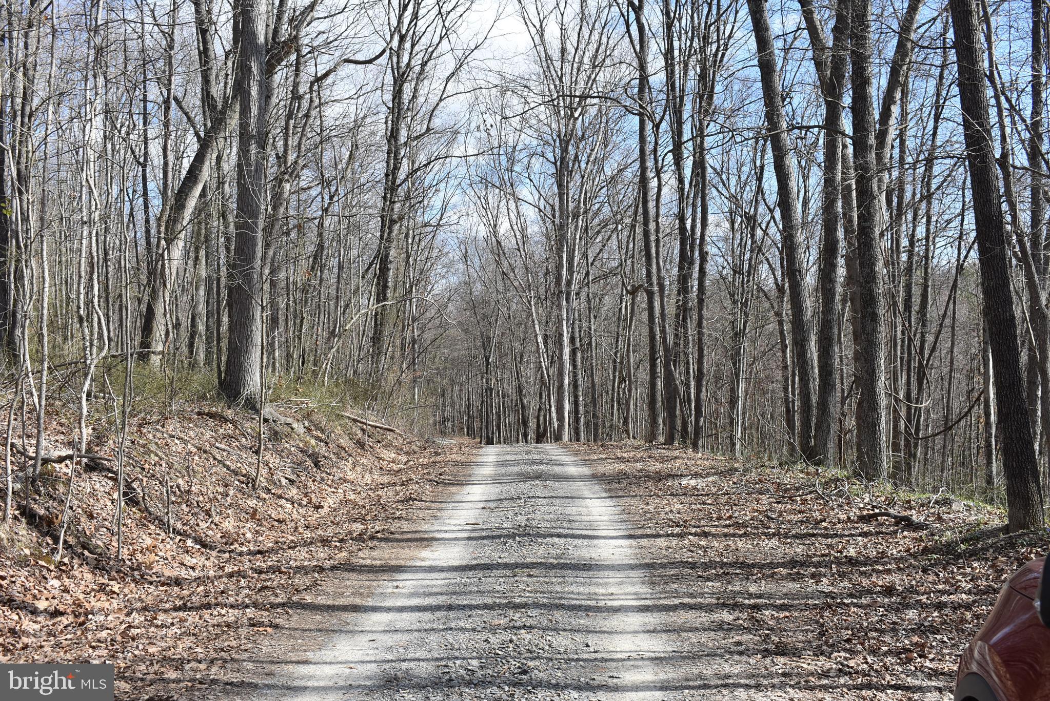 SLEEPY CREEK FOREST - Land