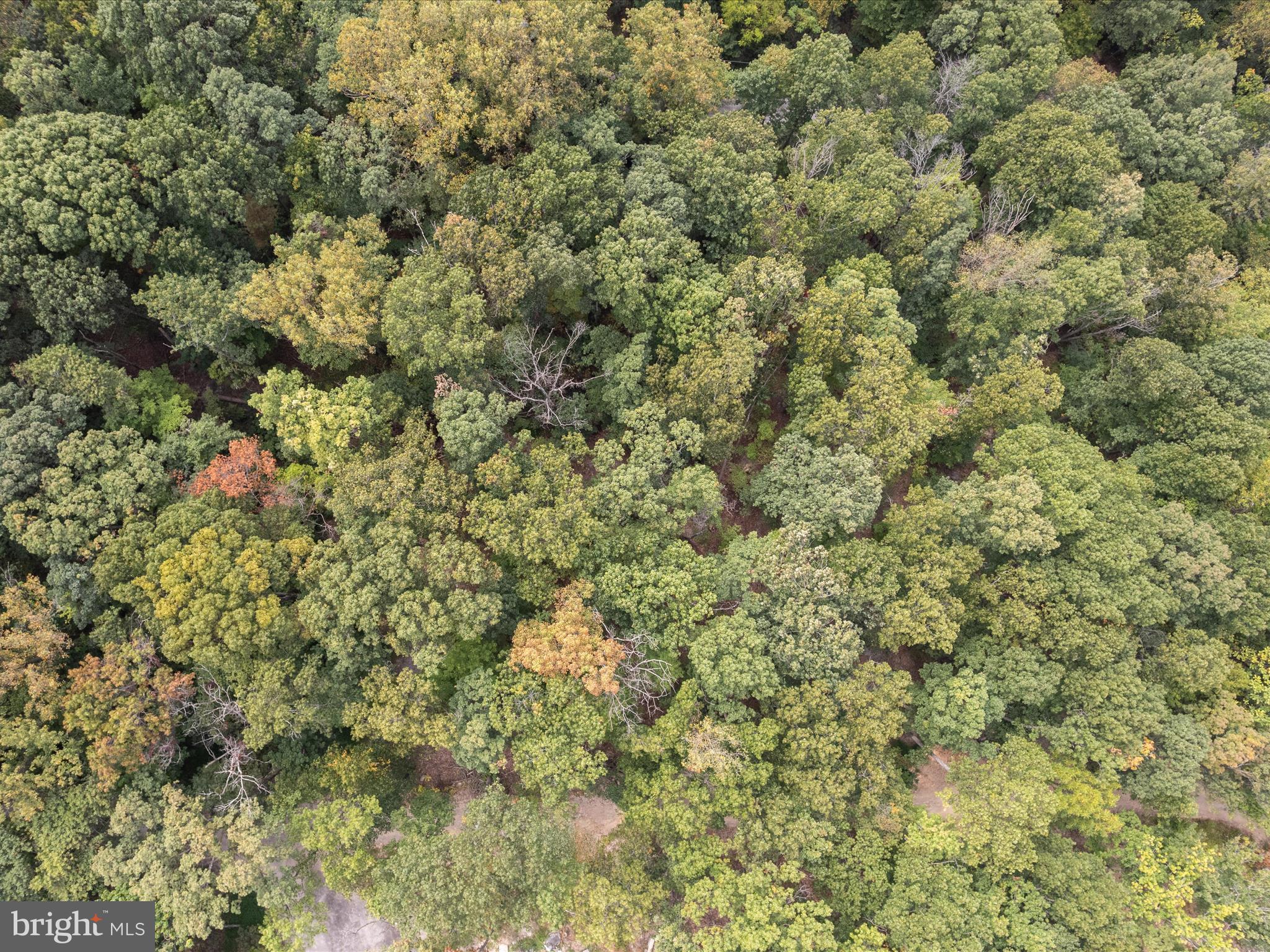 WESTRIDGE HILLS - Land