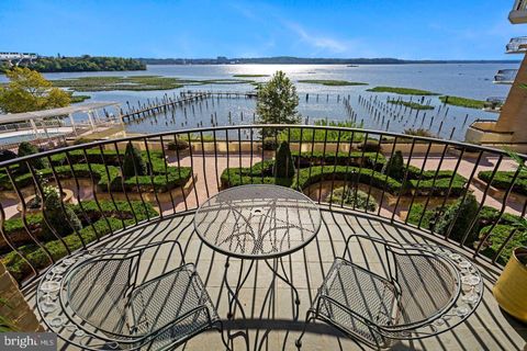 1250 S WASHINGTON STREET 203 ALEXANDRIA VA 22314