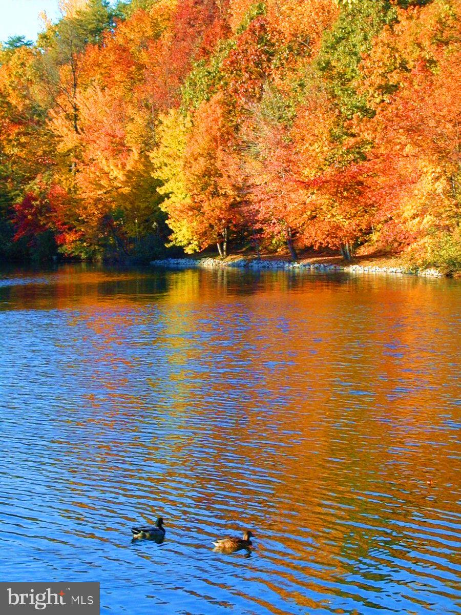 LAKE BRADDOCK - Residential