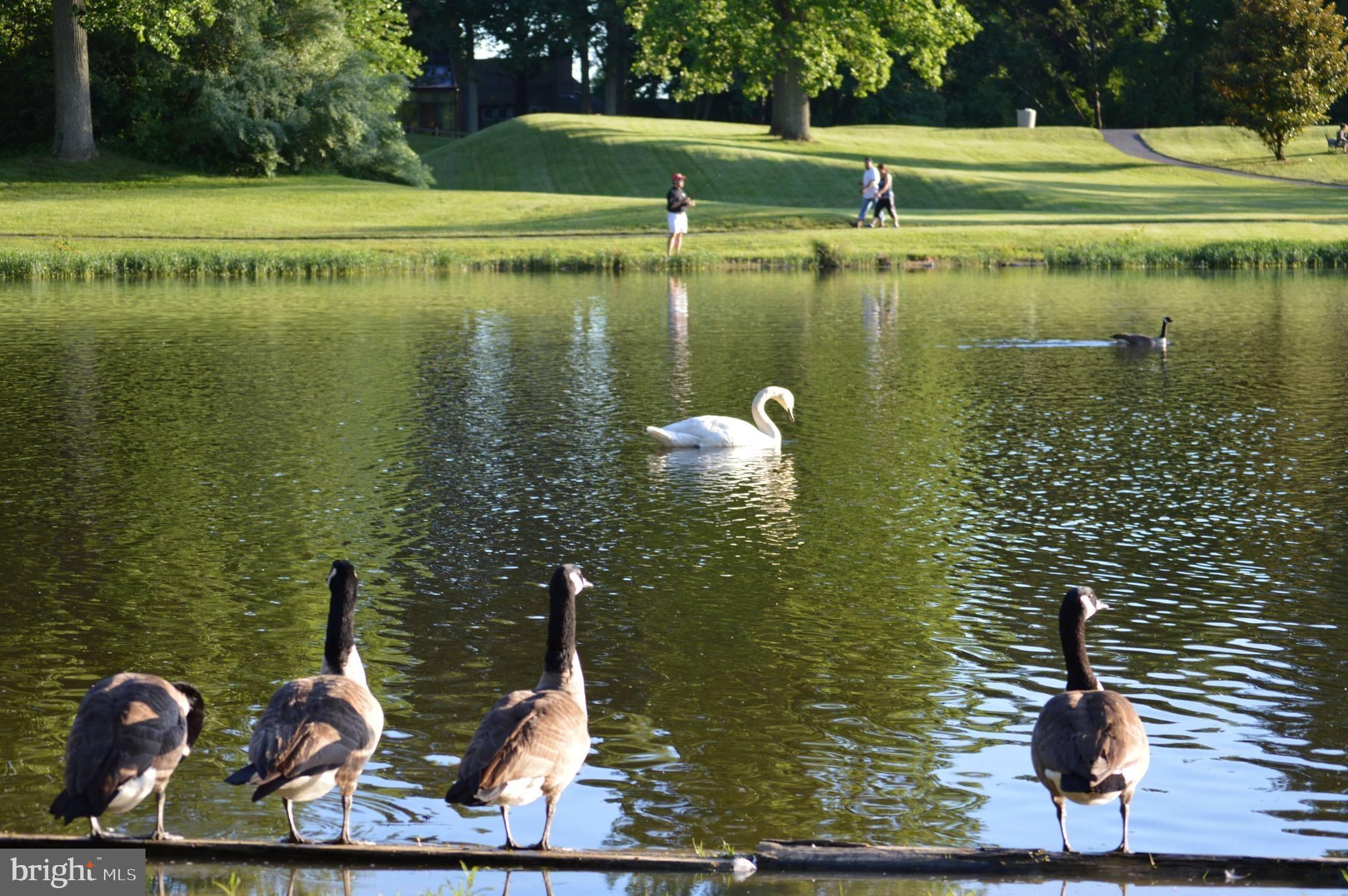 LAKE BRADDOCK - Residential