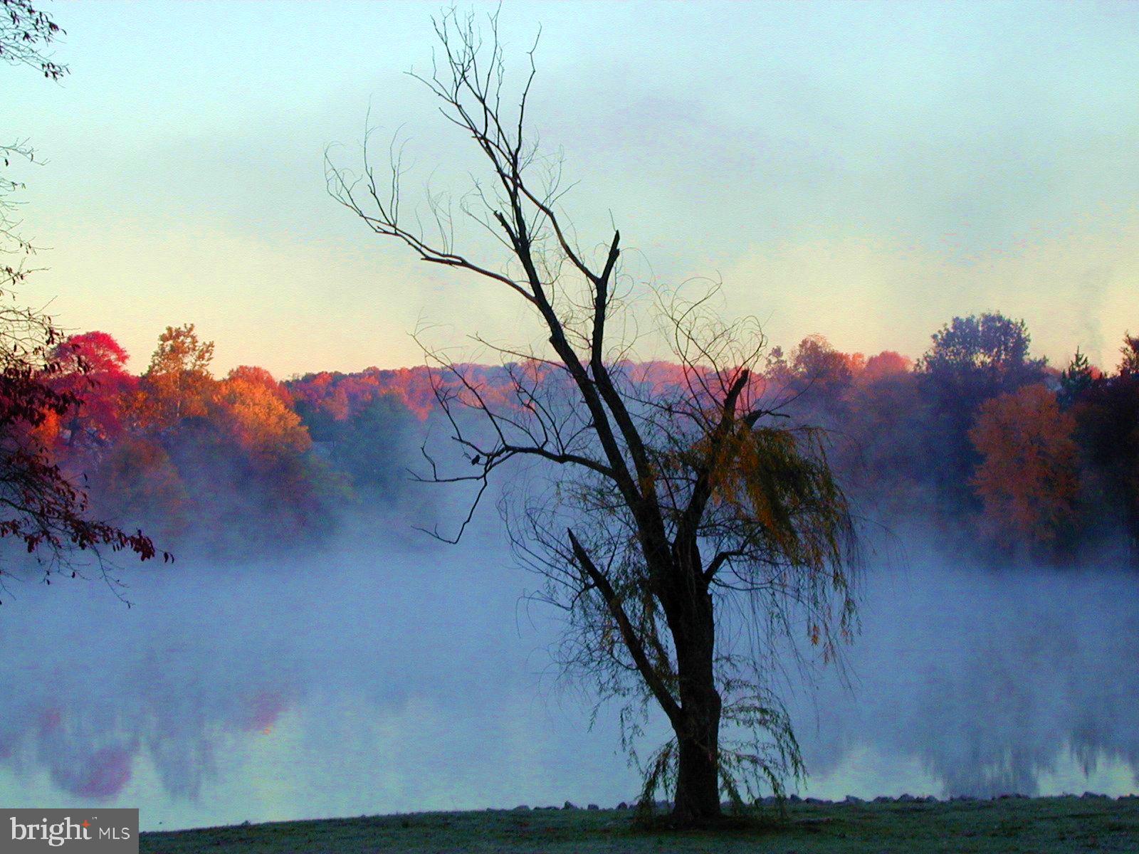 LAKE BRADDOCK - Residential