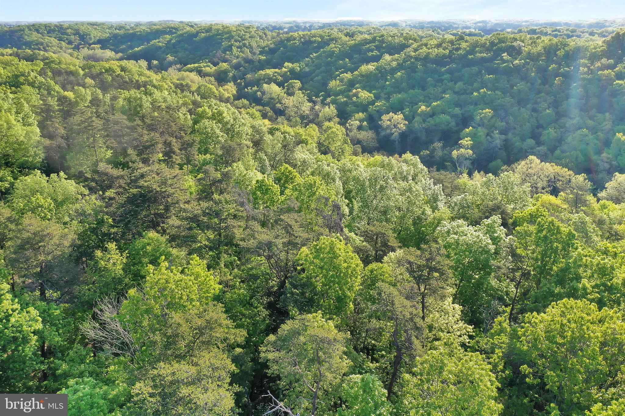 WOODLAND SPRINGS - Land