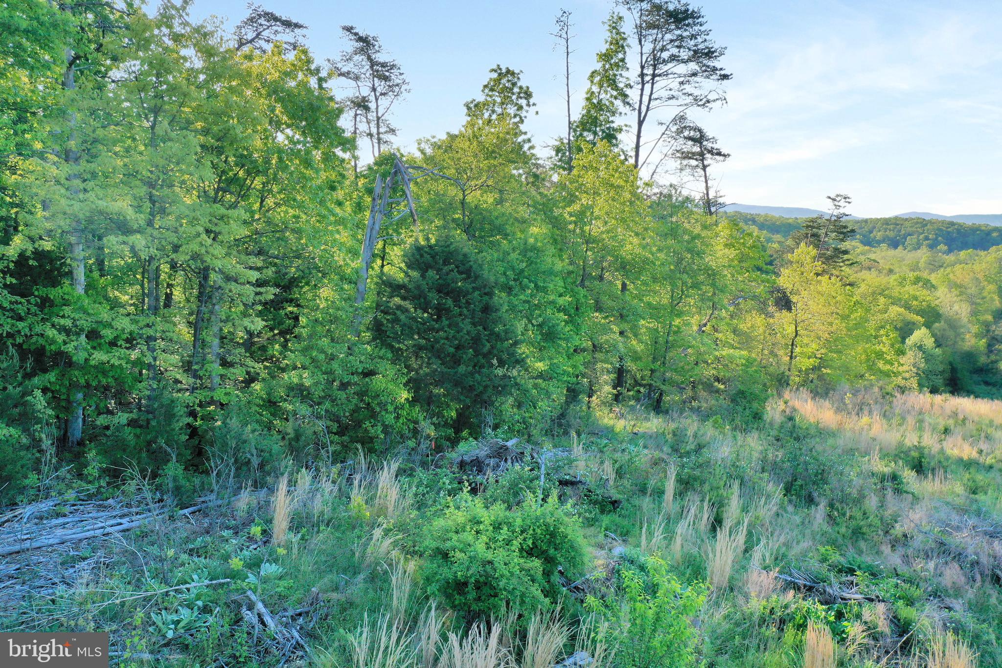 WOODLAND SPRINGS - Land