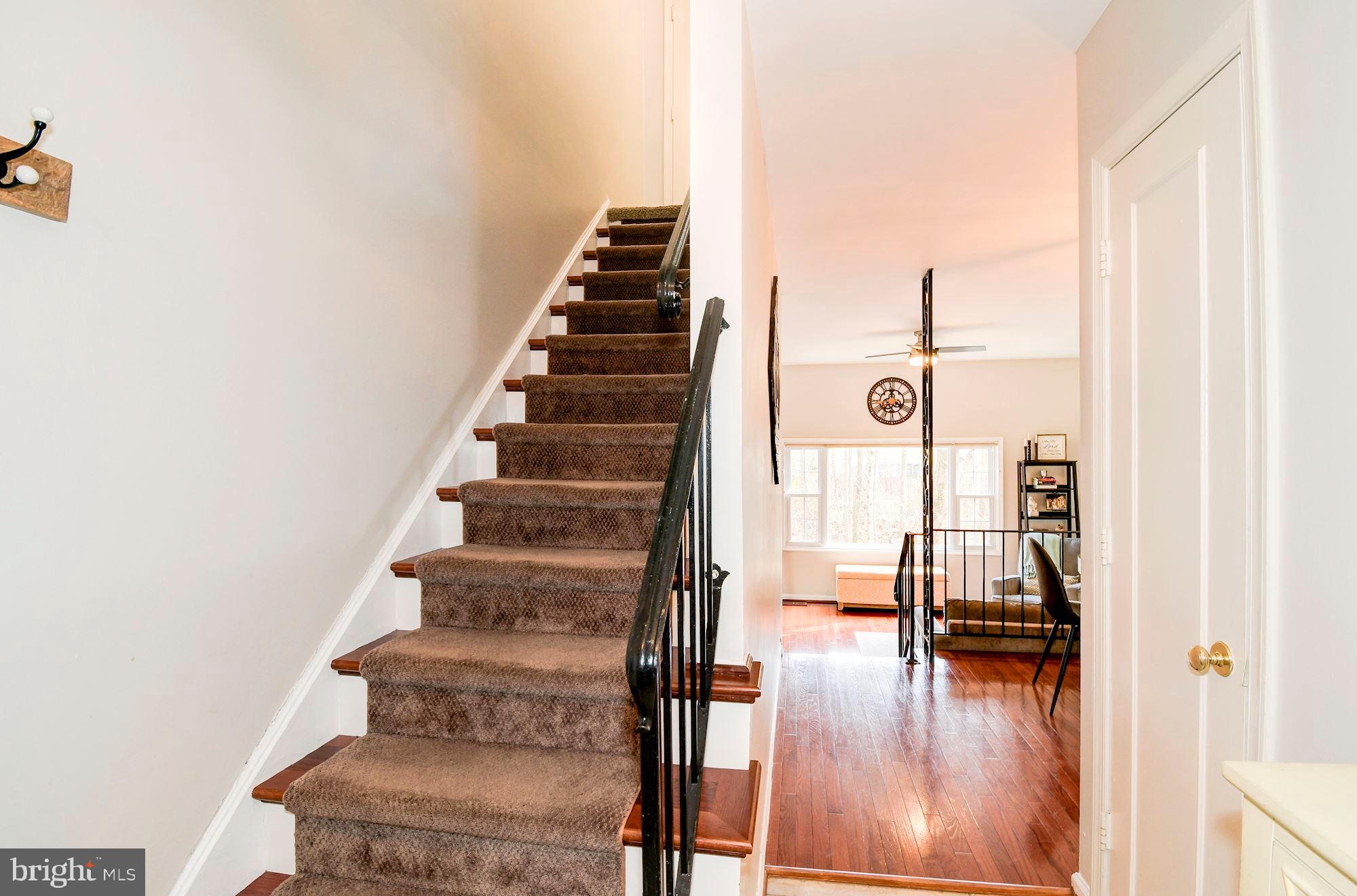 CARDINAL FOREST - Residential