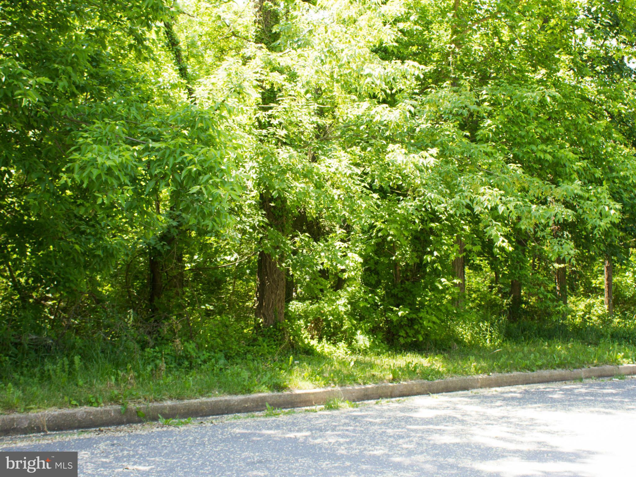 PARKSIDE HEIGHTS - Residential Lease