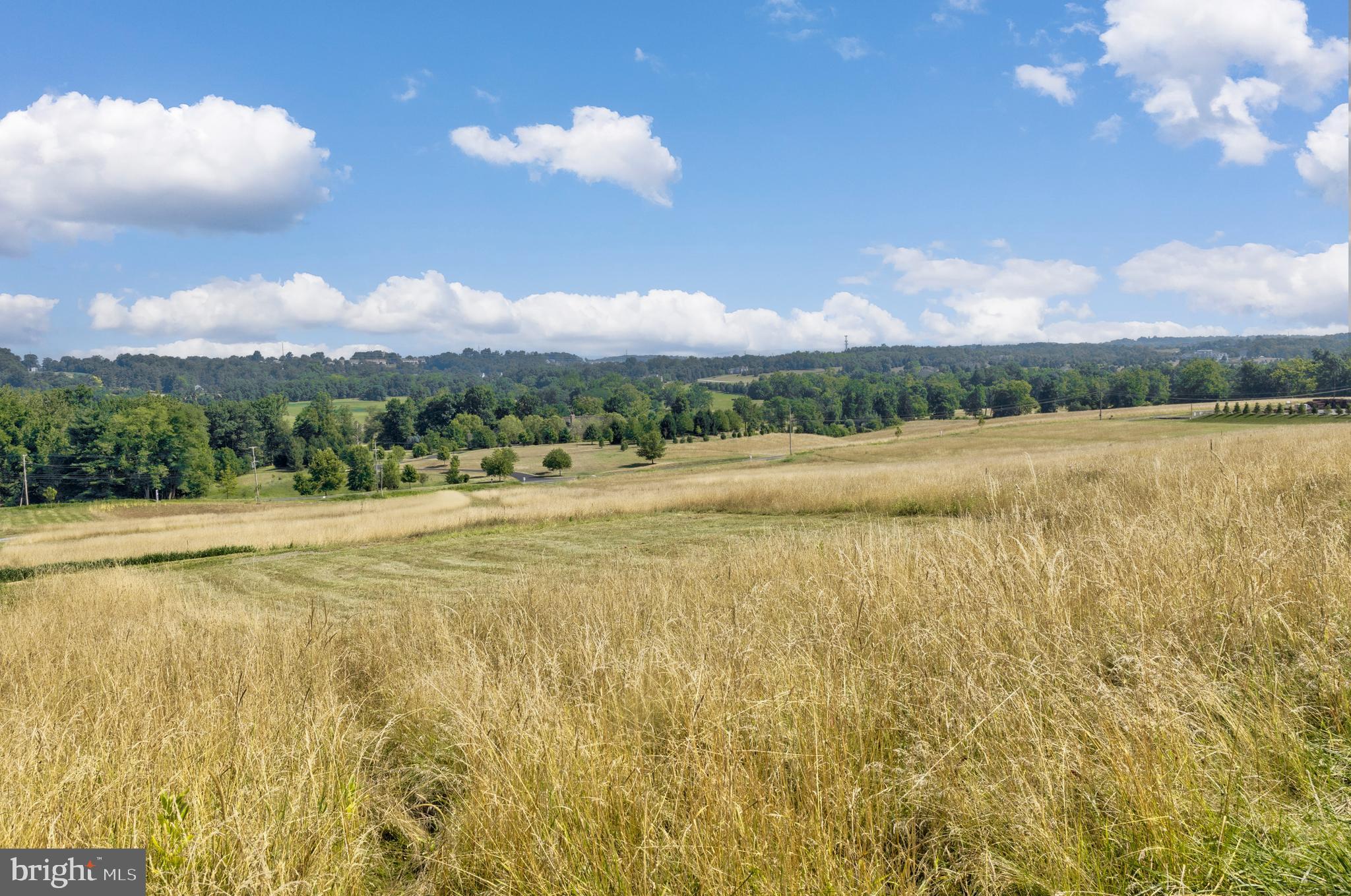 MOWERY ORCHARDS - Land