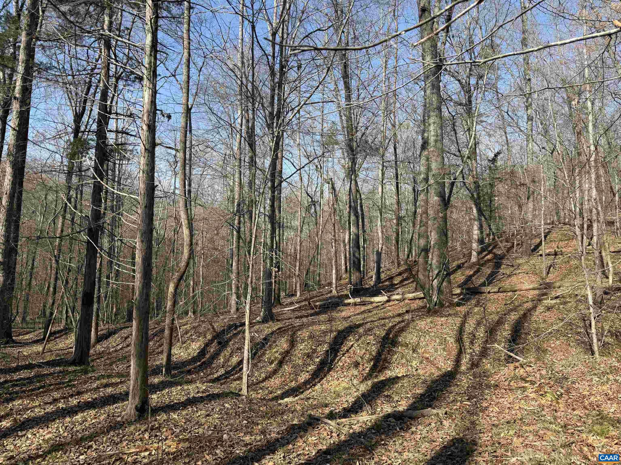 PAYNES MILL POND - Land