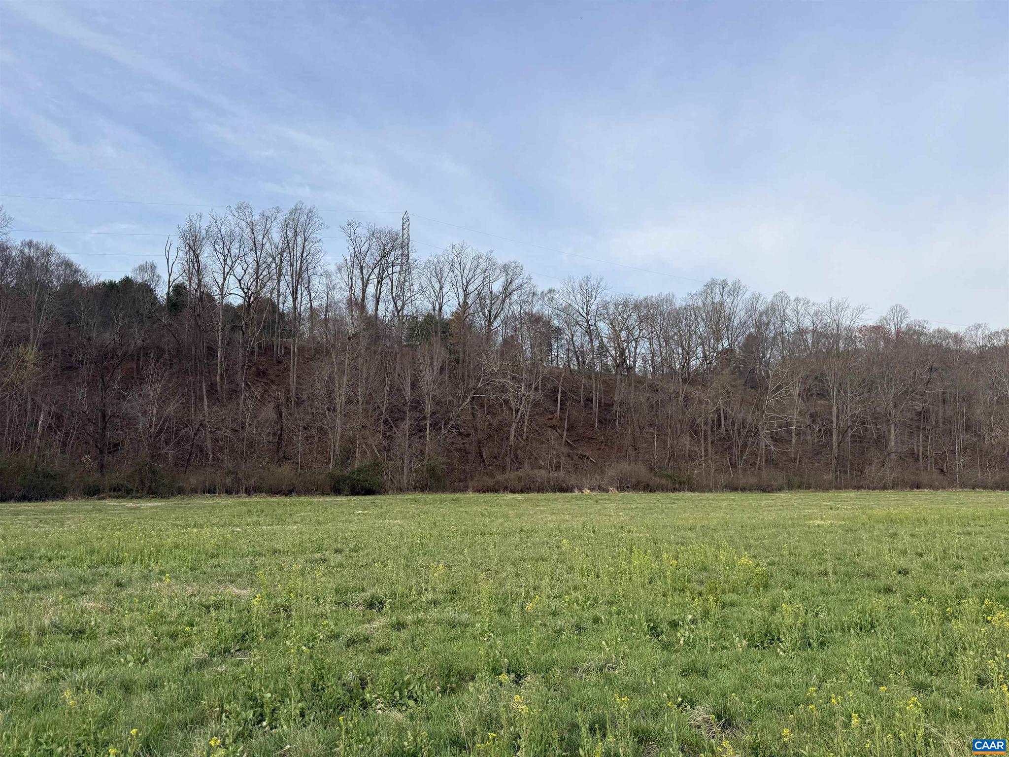 PAYNES MILL POND - Land