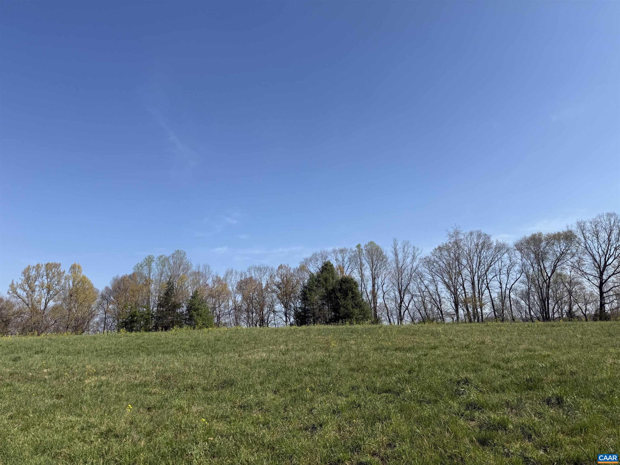 PAYNES MILL POND - Land
