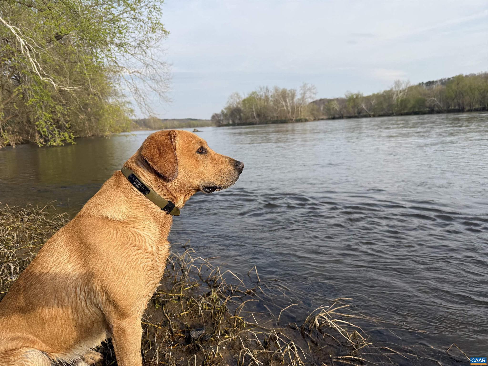 PAYNES MILL POND - Land