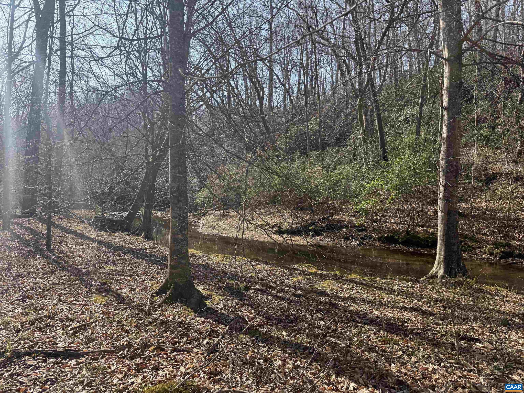 PAYNES MILL POND - Land