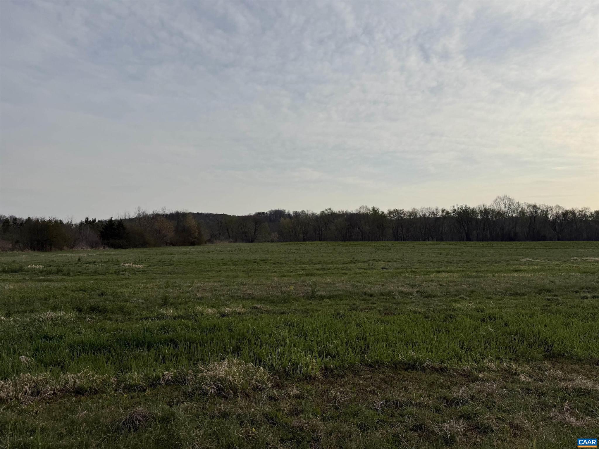 PAYNES MILL POND - Land