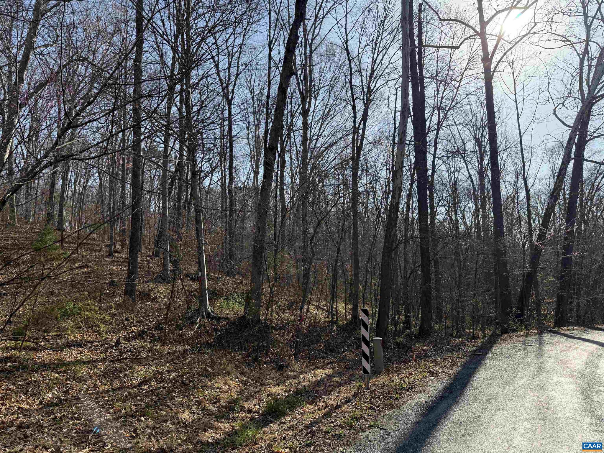 PAYNES MILL POND - Land