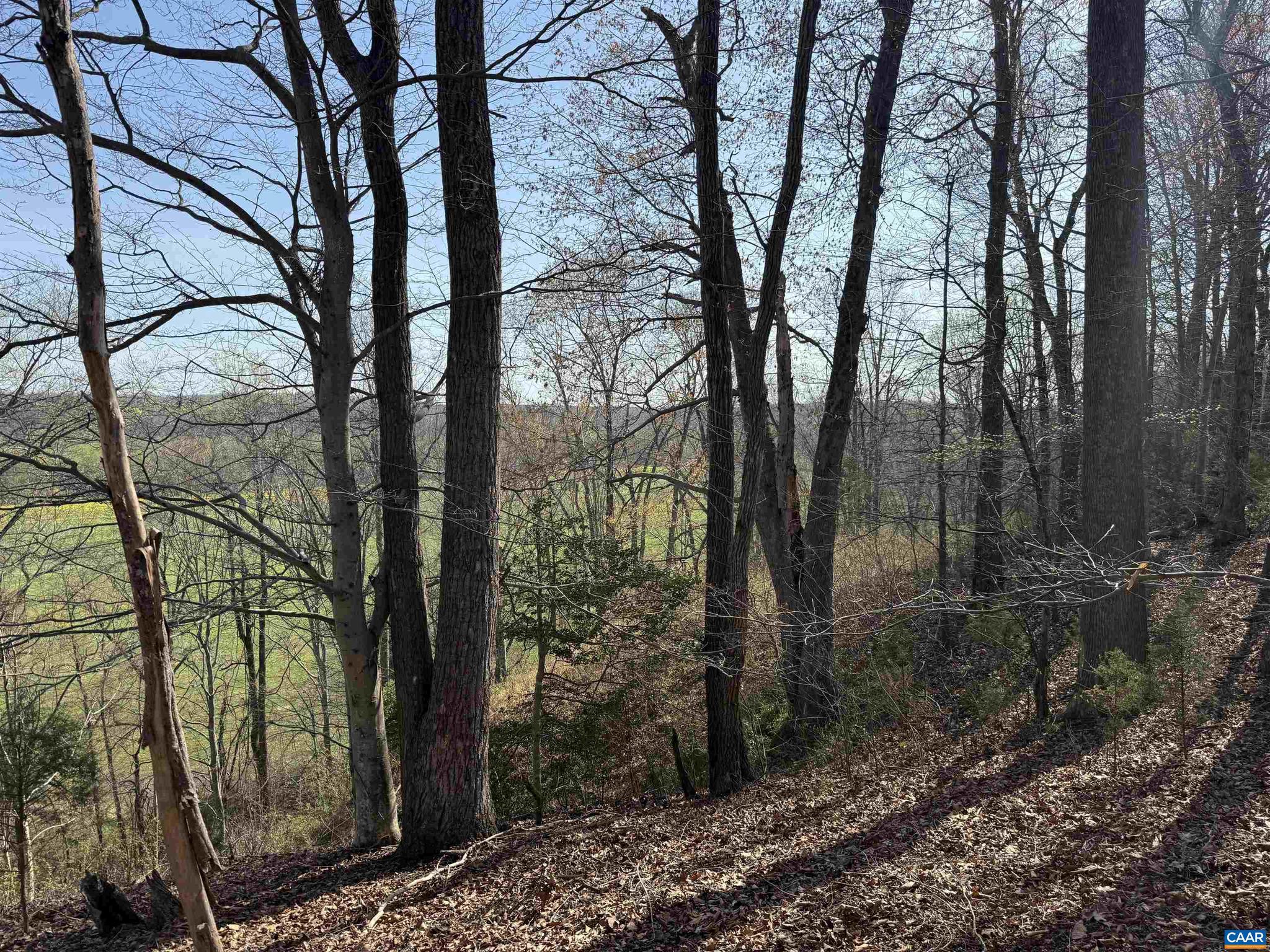 PAYNES MILL POND - Land
