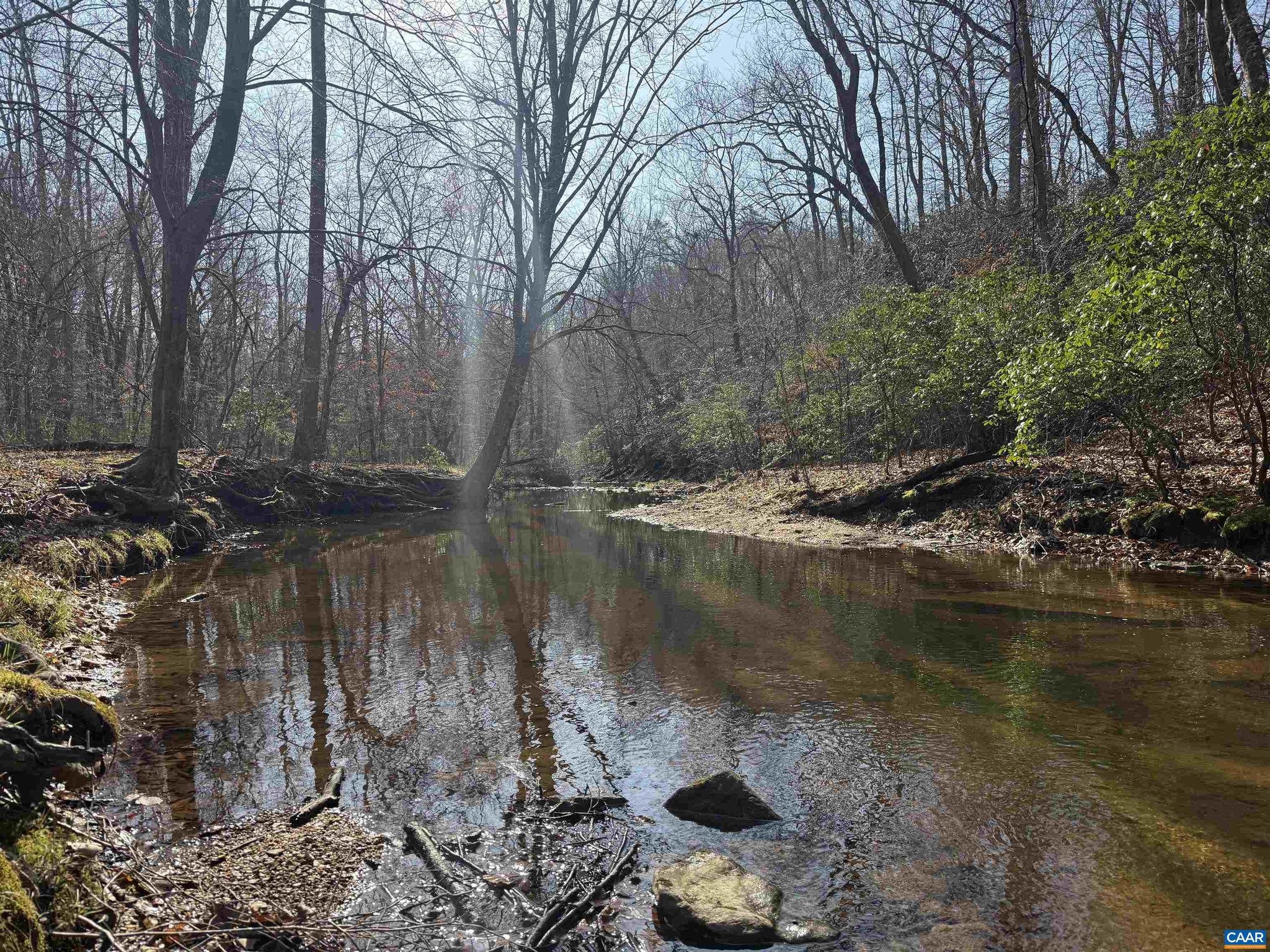 PAYNES MILL POND - Land