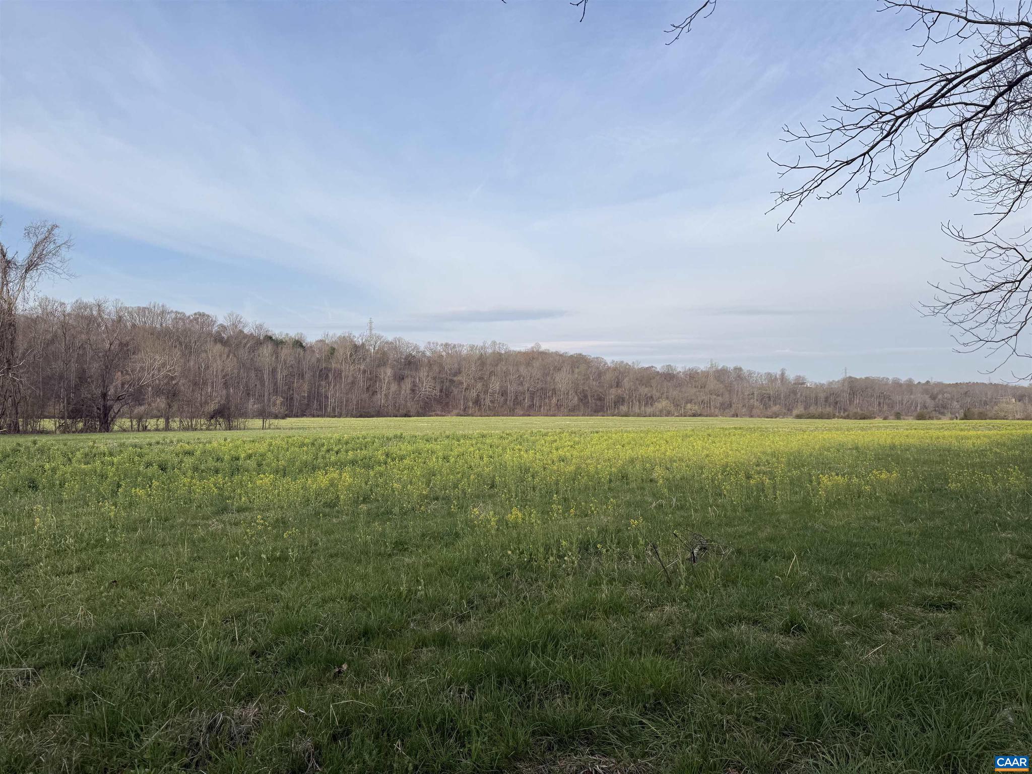 PAYNES MILL POND - Land