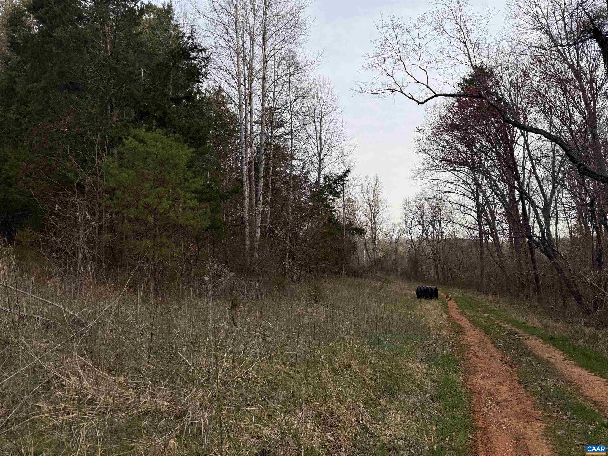 PAYNES MILL POND - Land