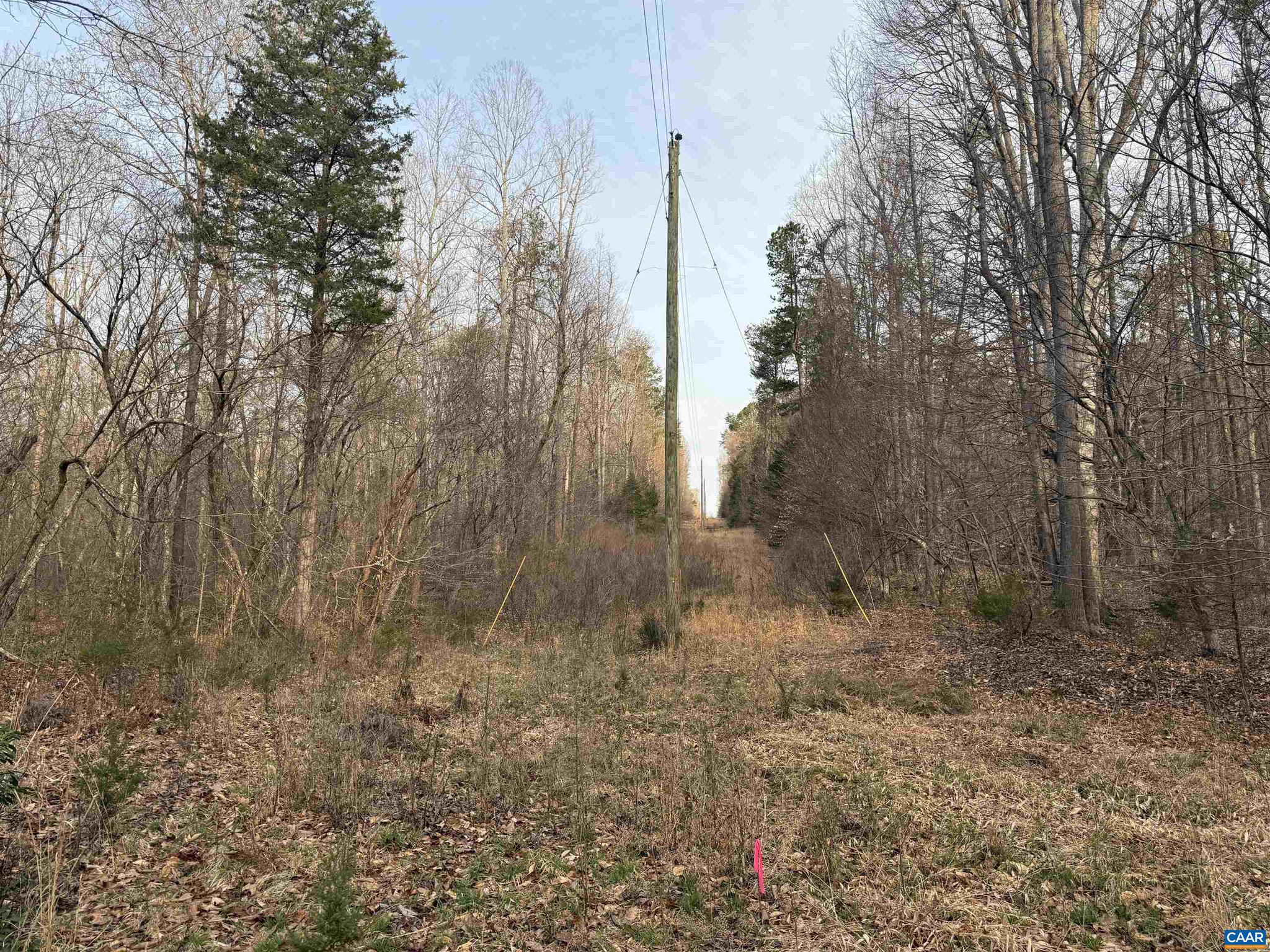 PAYNES MILL POND - Land