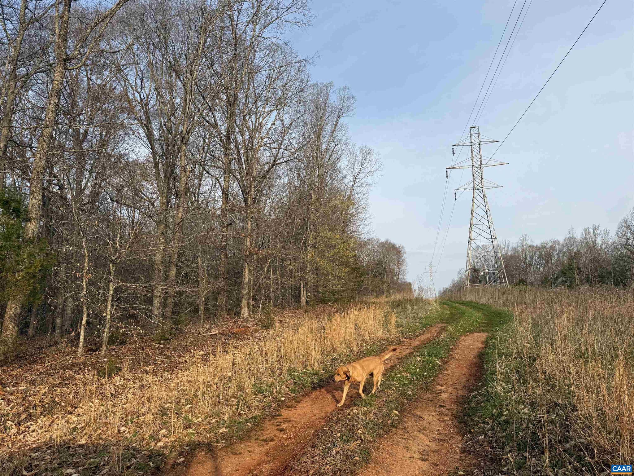 PAYNES MILL POND - Land