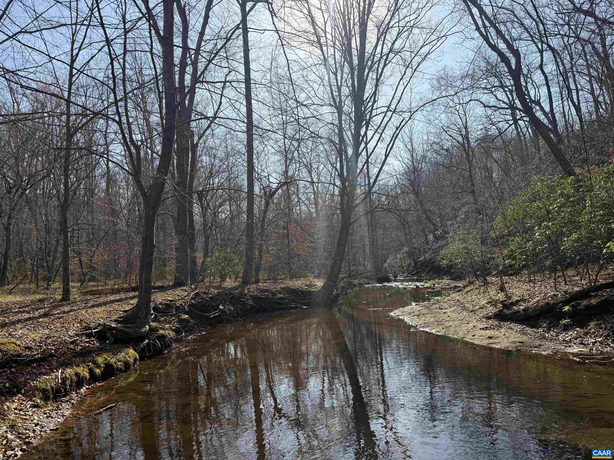 PAYNES MILL POND - Land