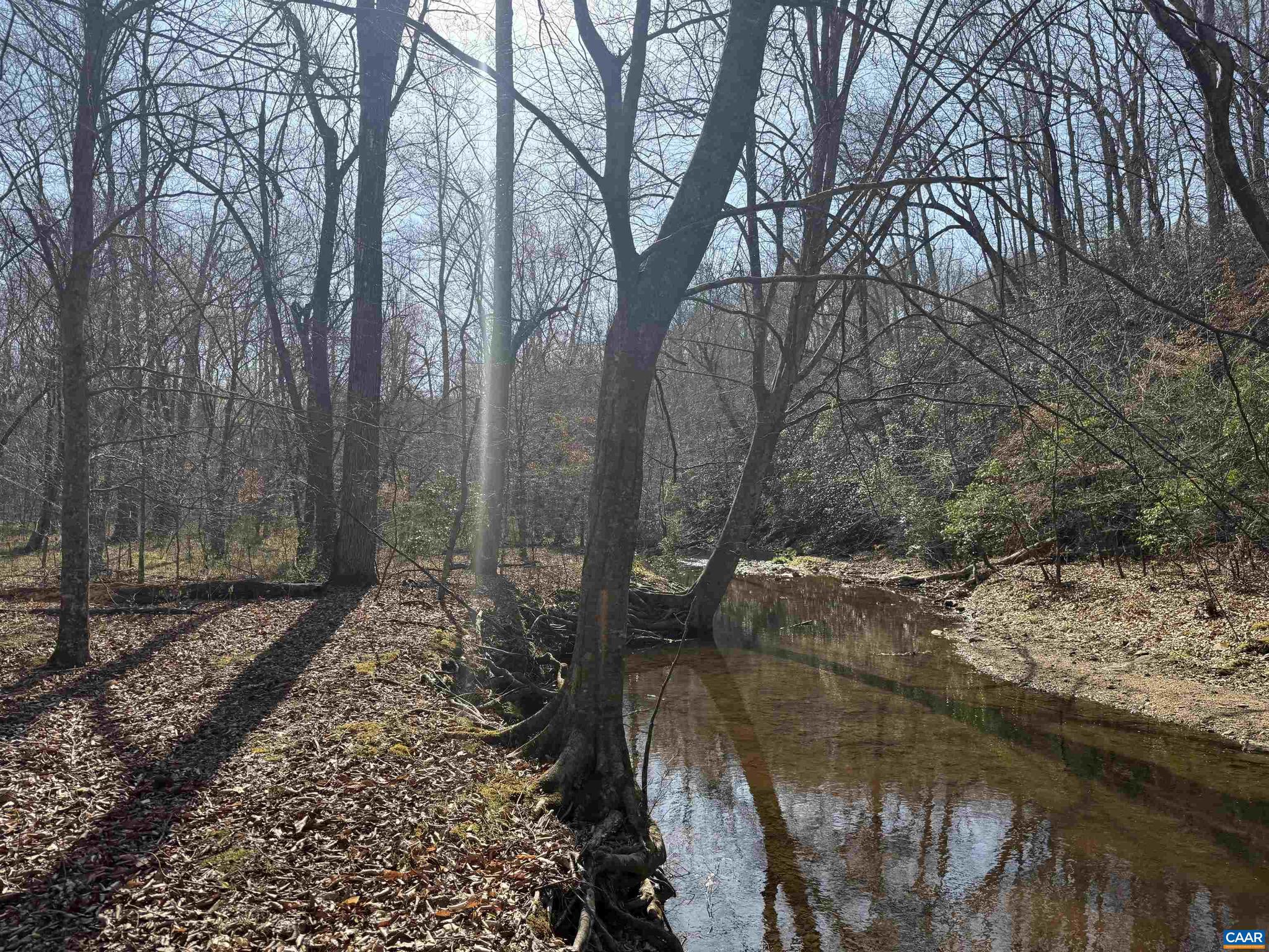 PAYNES MILL POND - Land
