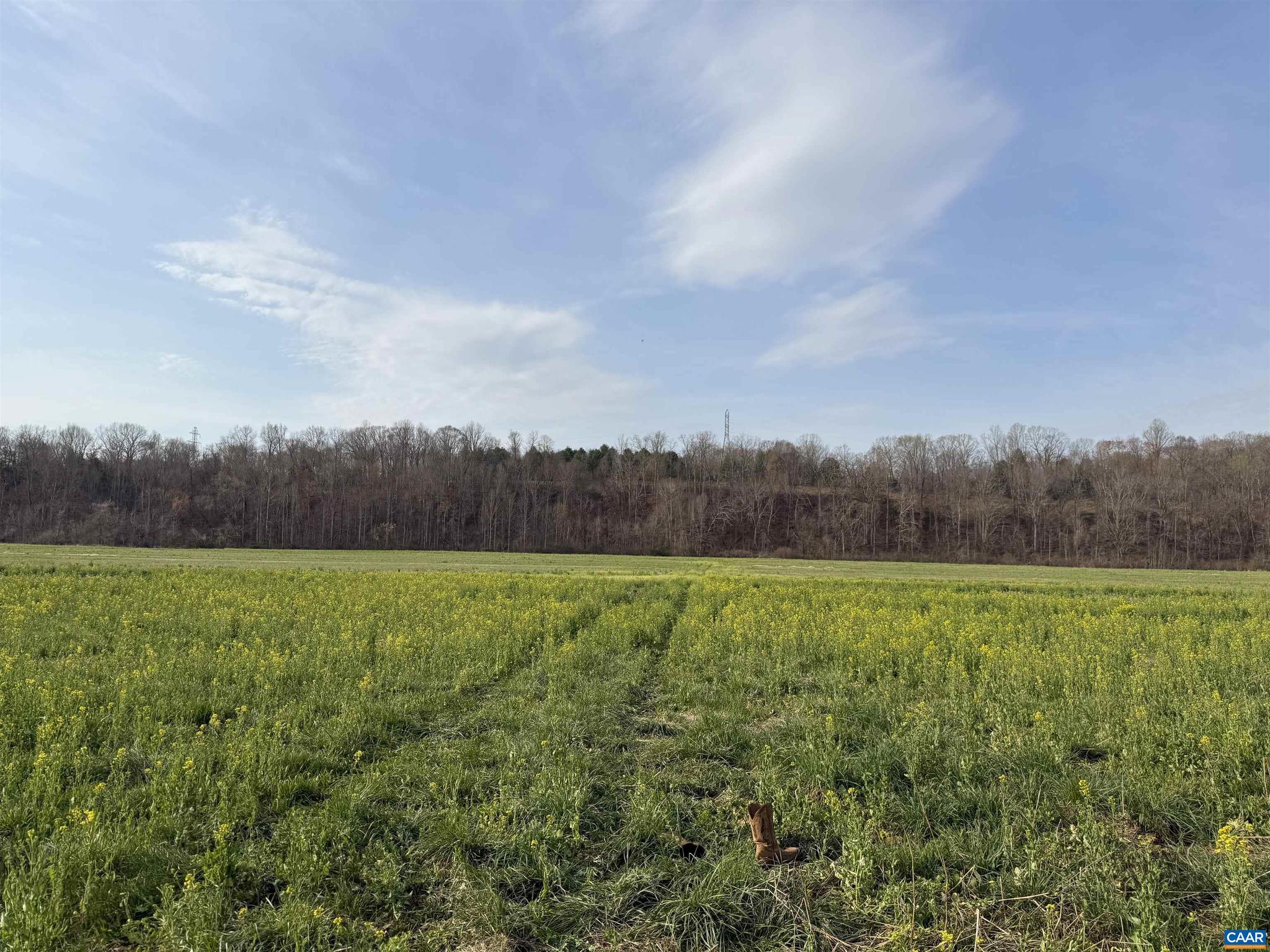 PAYNES MILL POND - Land
