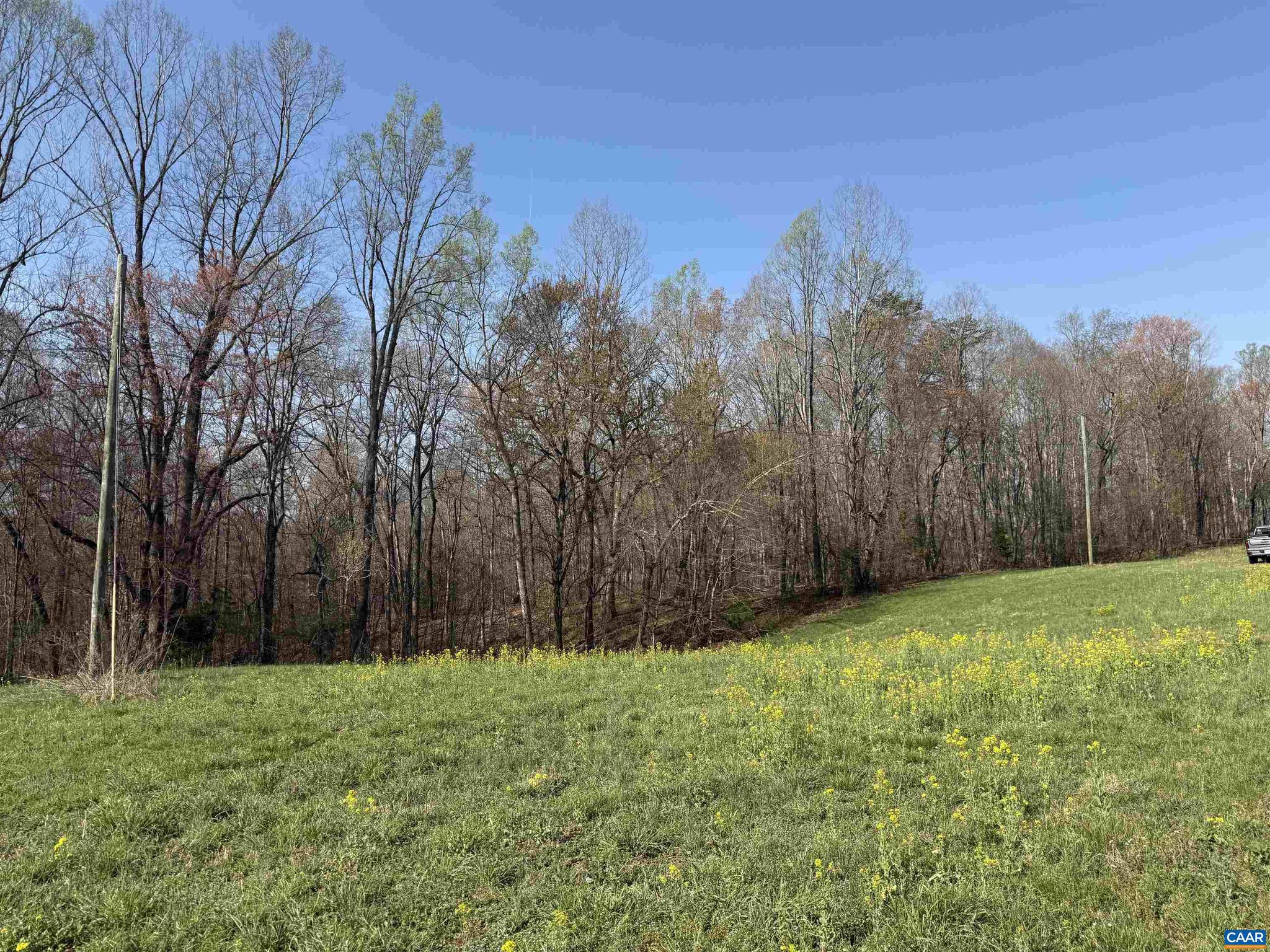 PAYNES MILL POND - Land