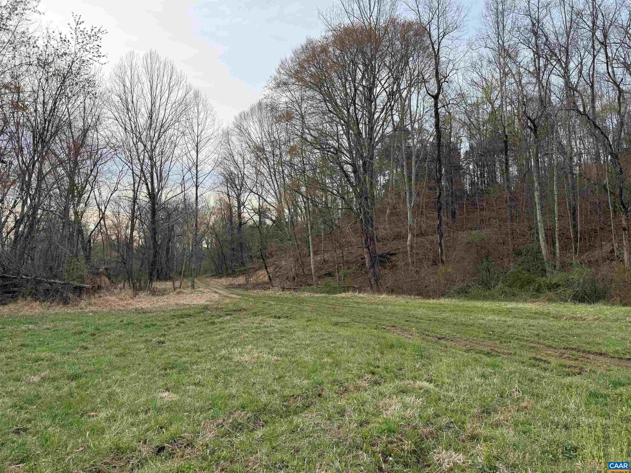 PAYNES MILL POND - Land