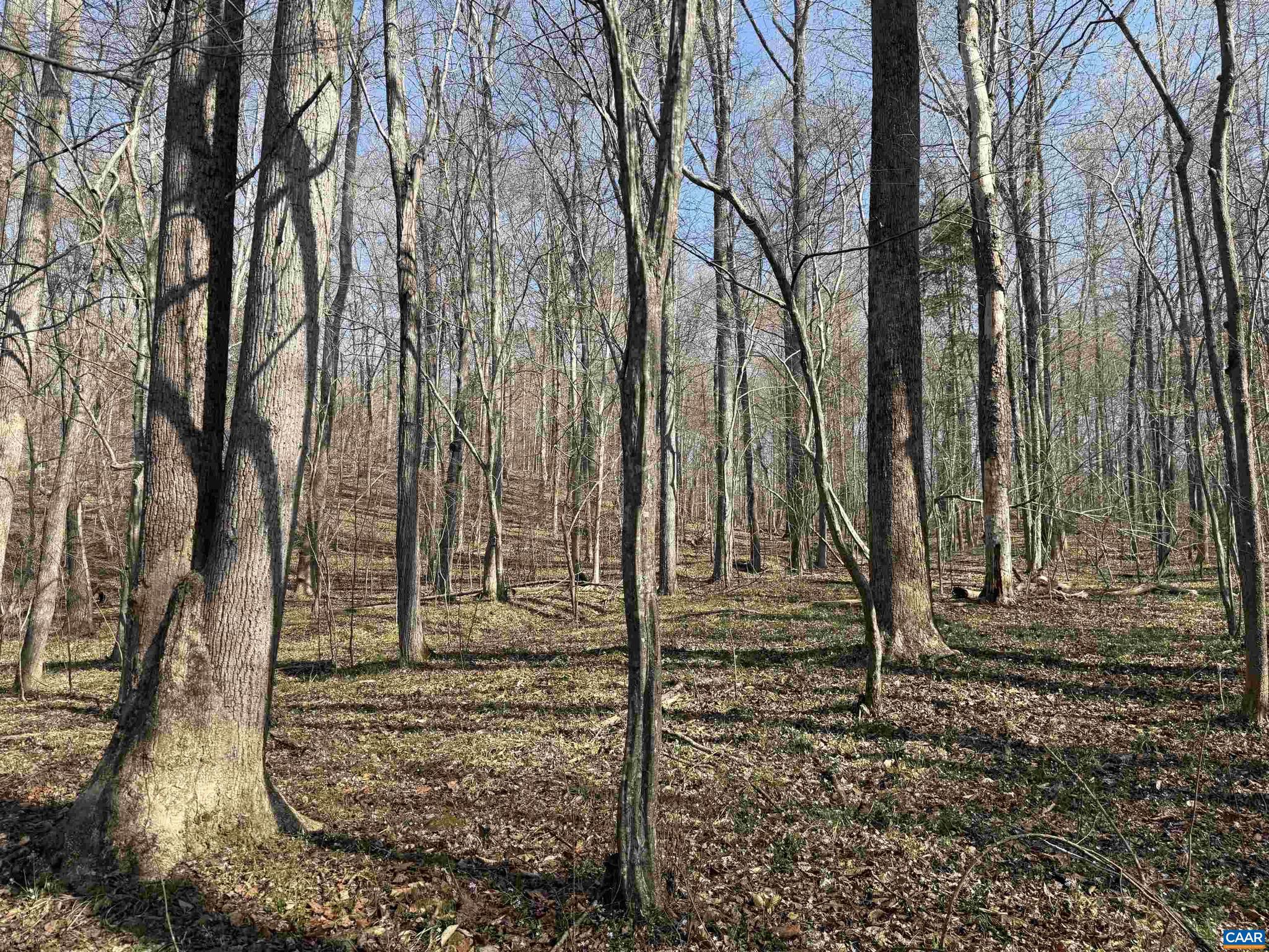 PAYNES MILL POND - Land