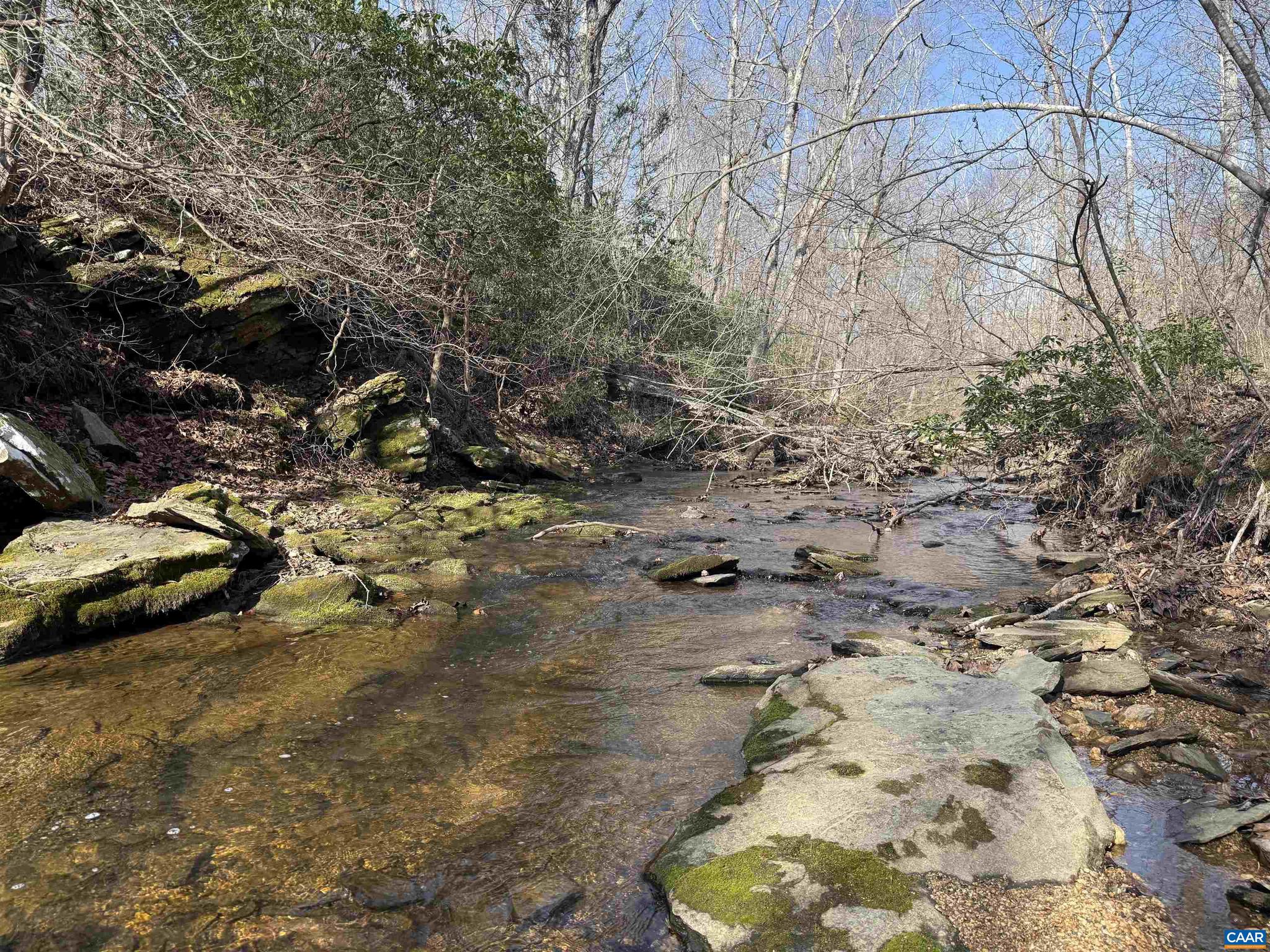 PAYNES MILL POND - Land