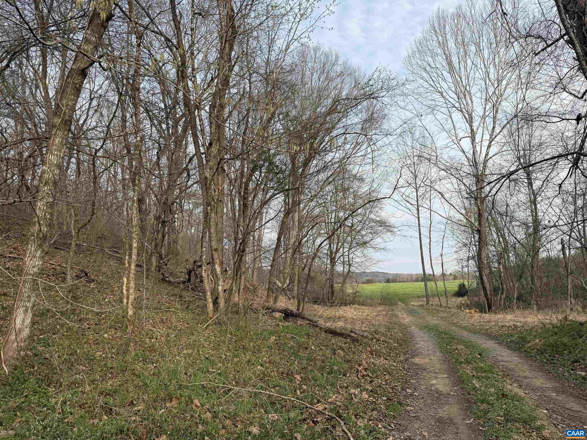 PAYNES MILL POND - Land