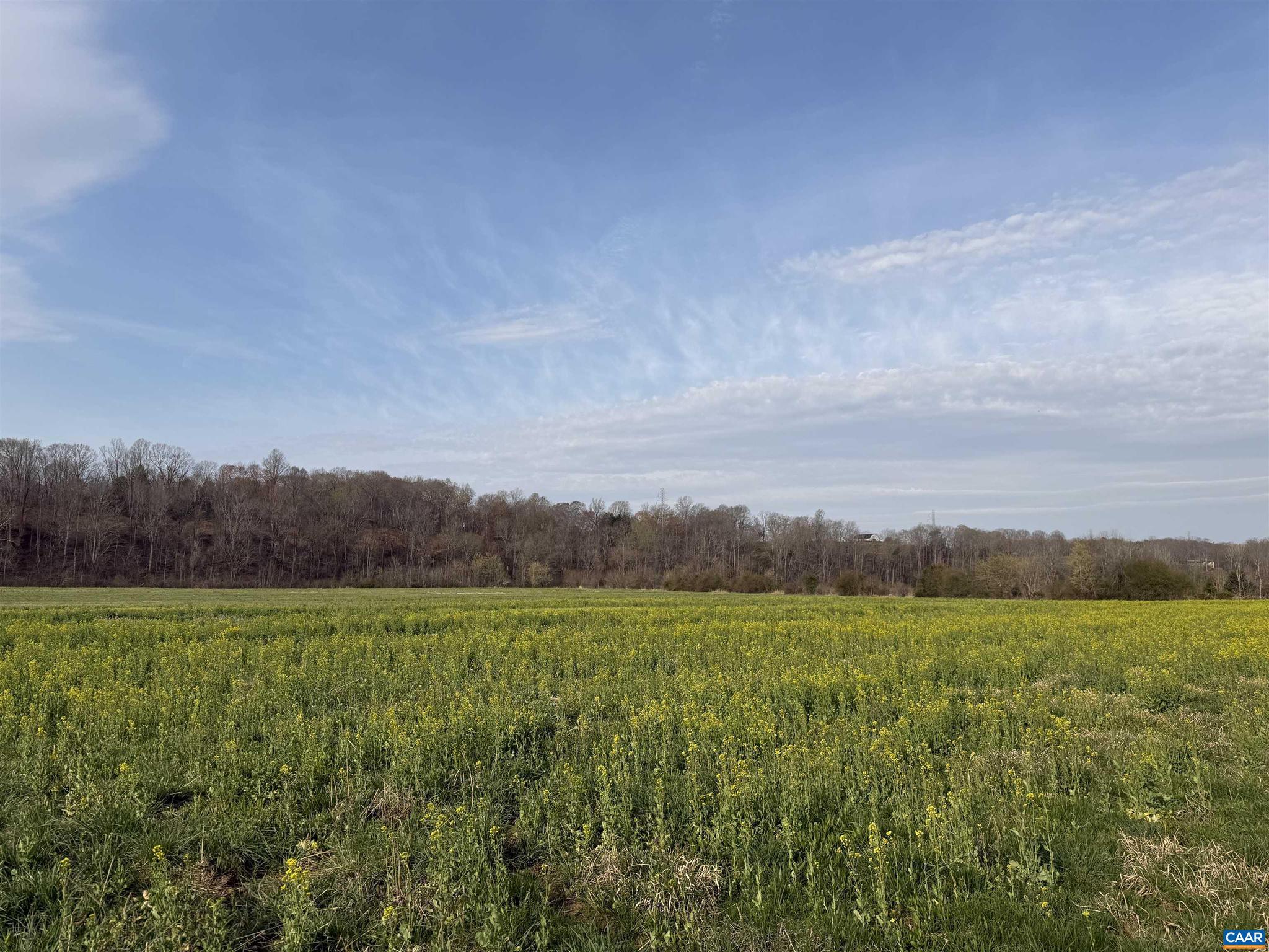PAYNES MILL POND - Land