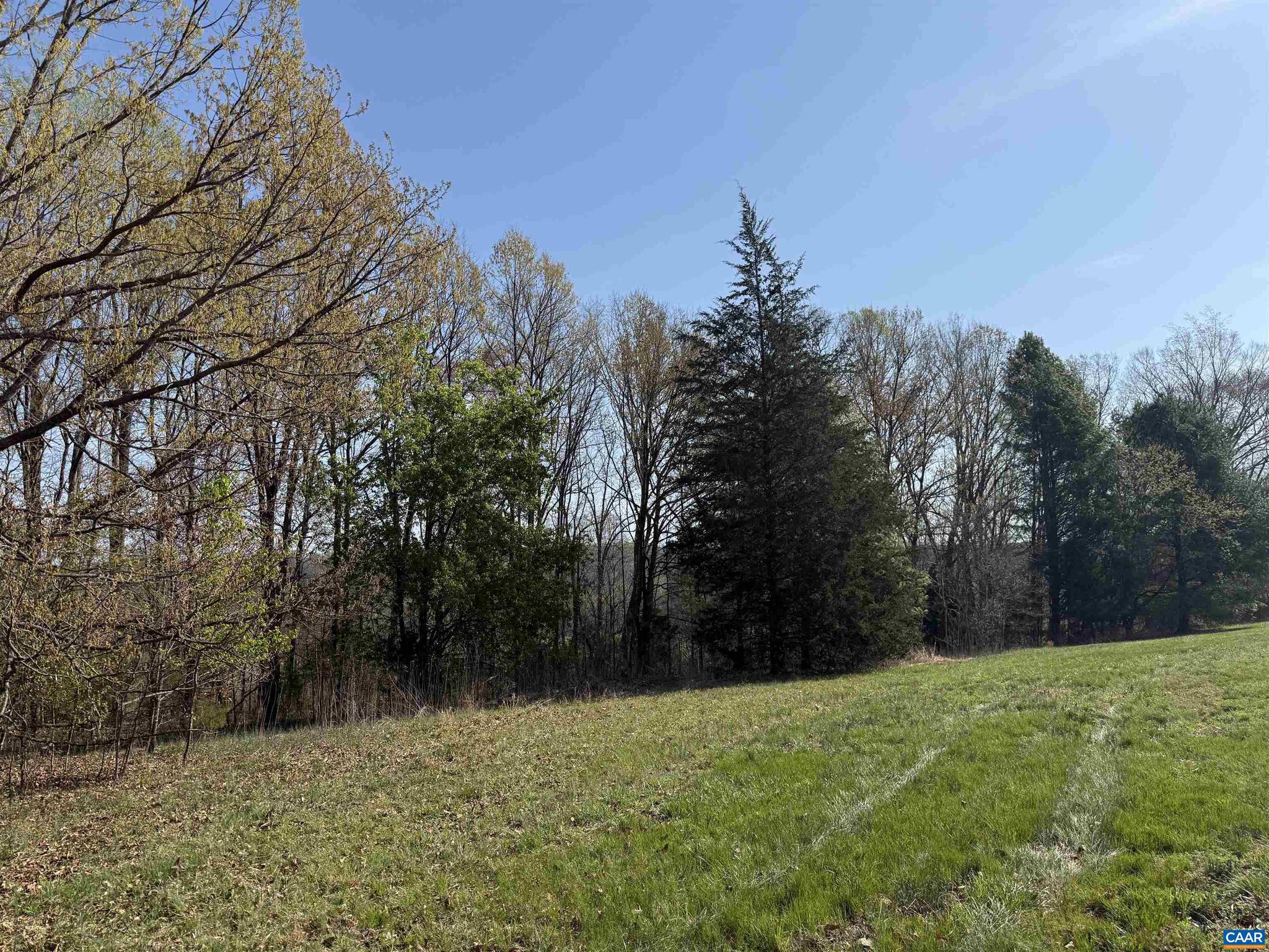 PAYNES MILL POND - Land