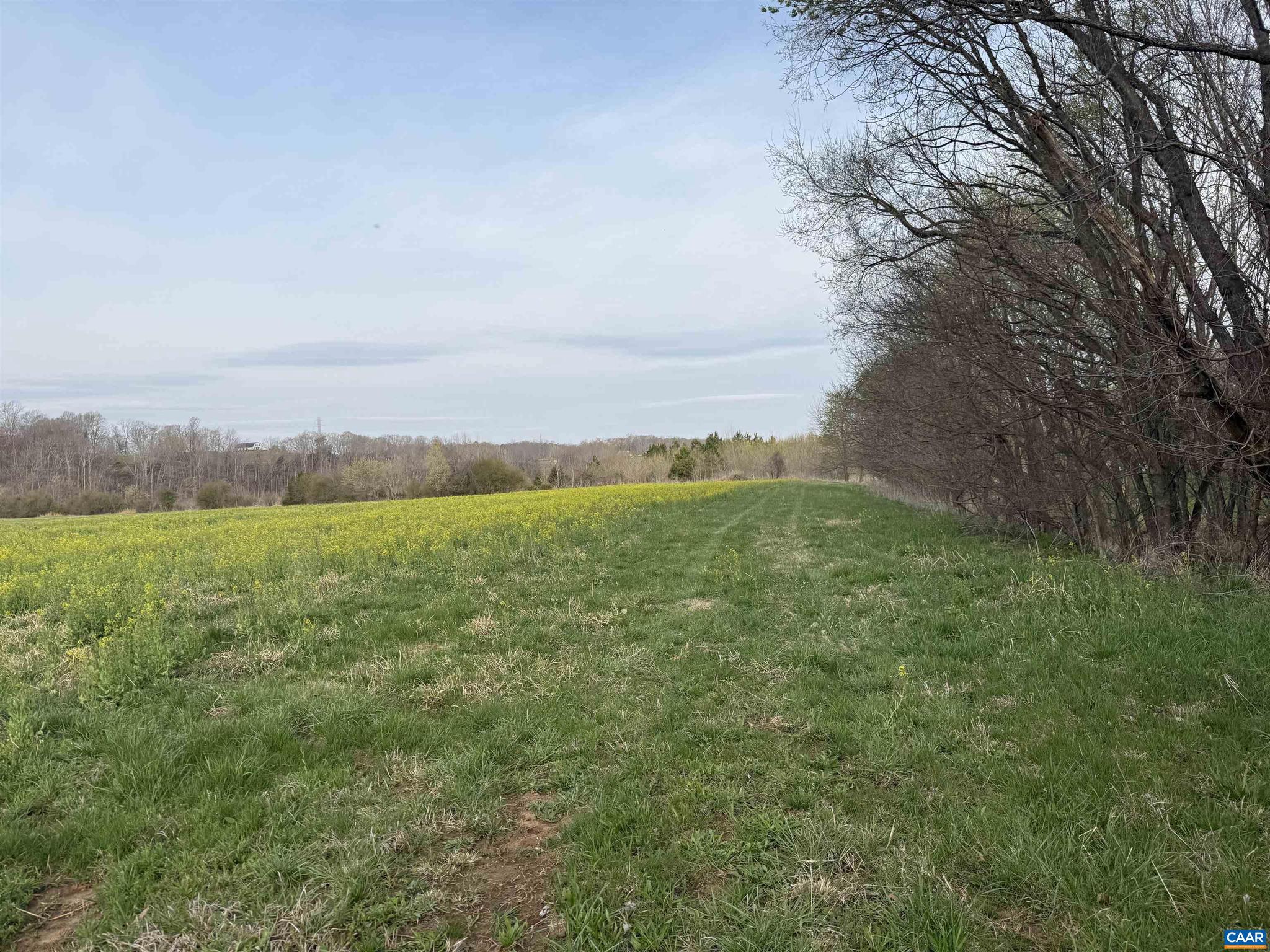 PAYNES MILL POND - Land