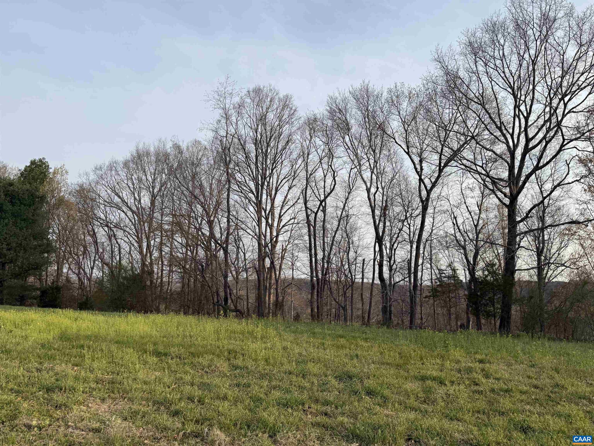 PAYNES MILL POND - Land