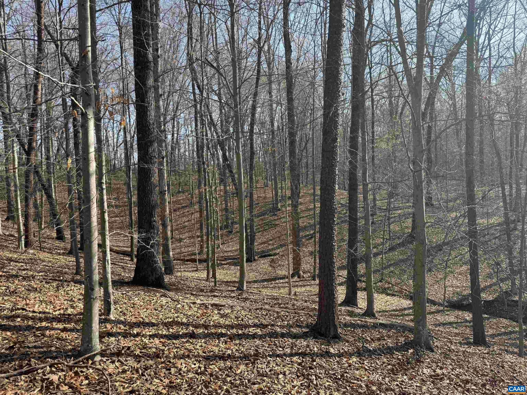PAYNES MILL POND - Land