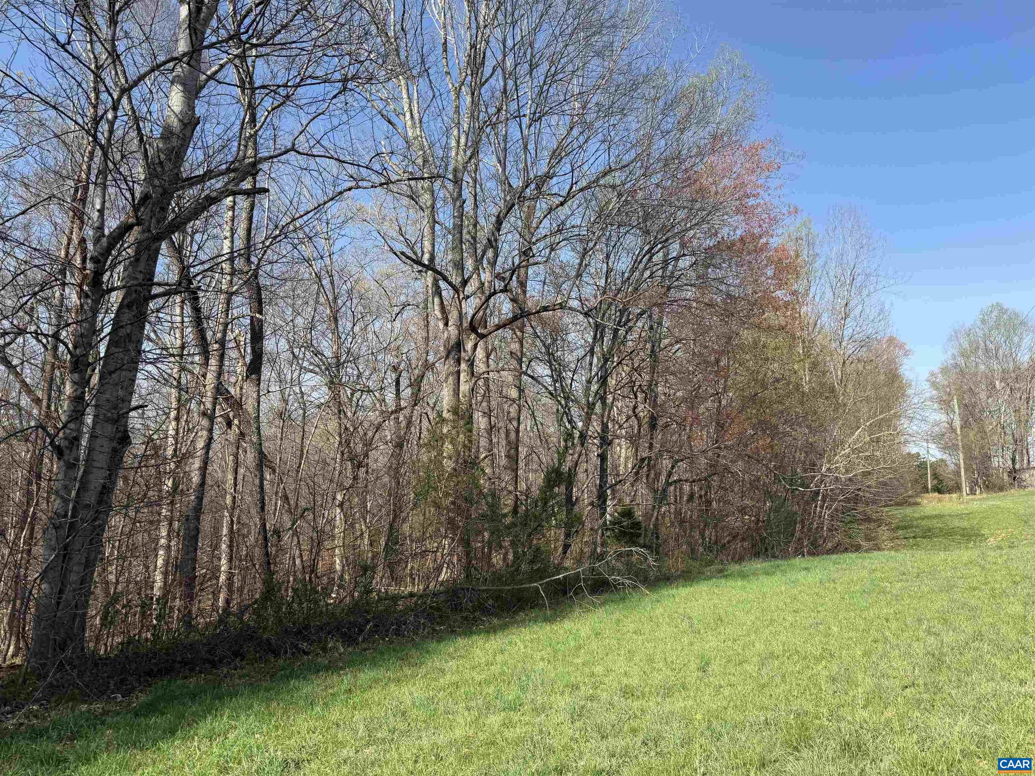 PAYNES MILL POND - Land