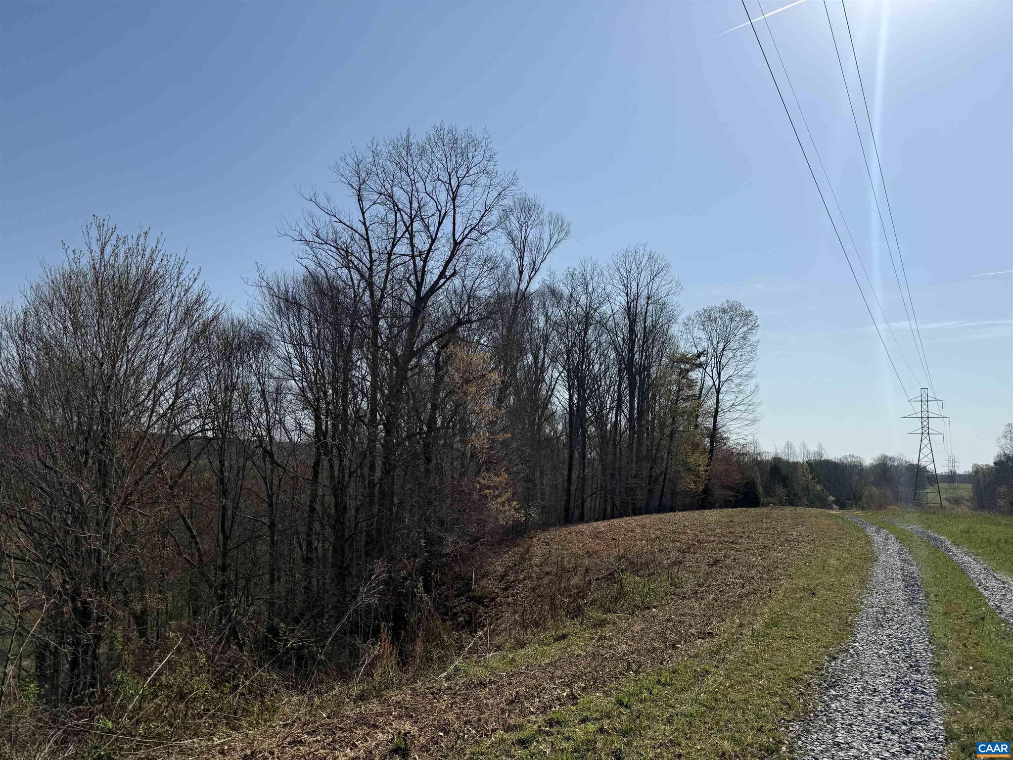 PAYNES MILL POND - Land