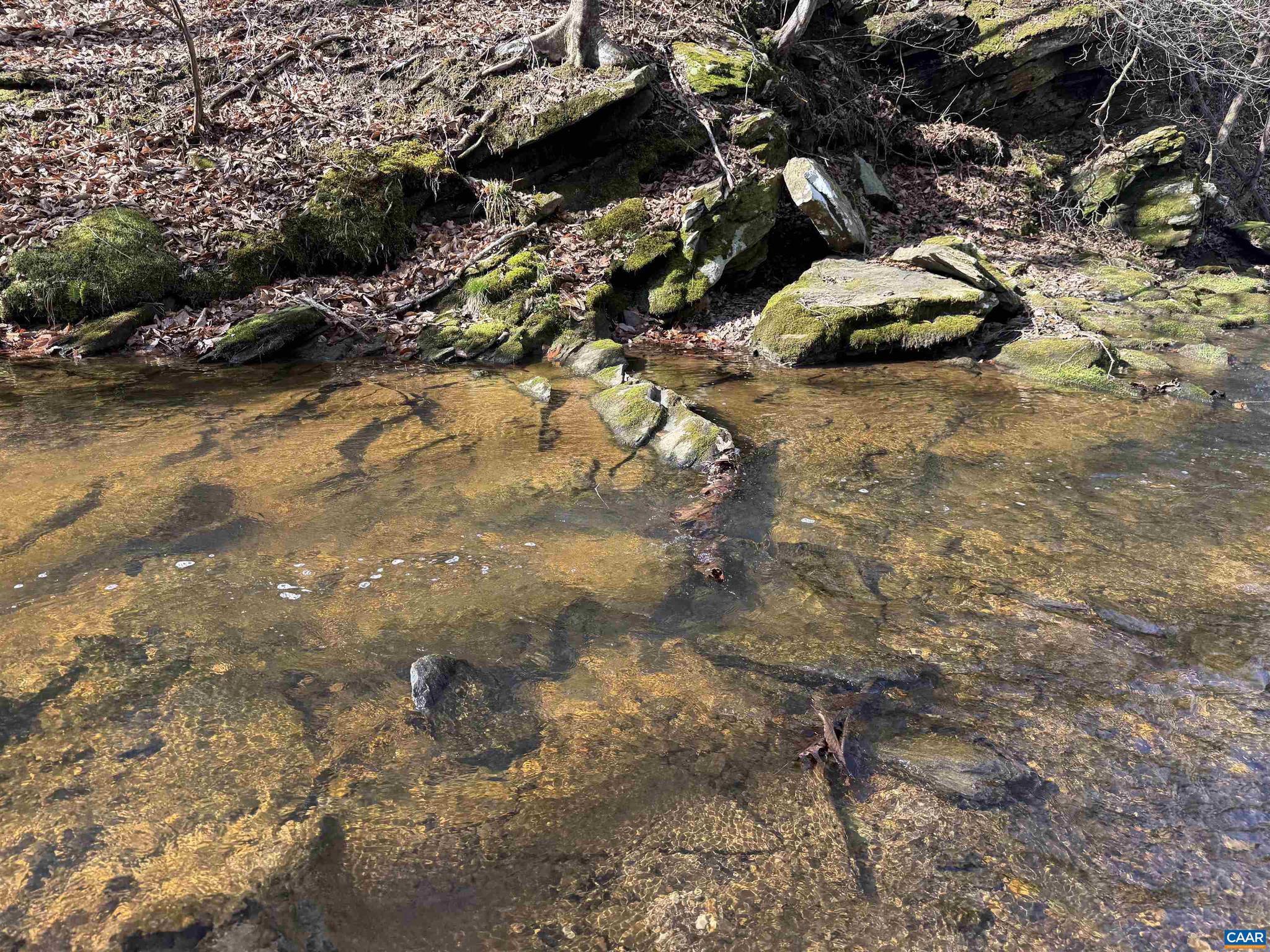 PAYNES MILL POND - Land