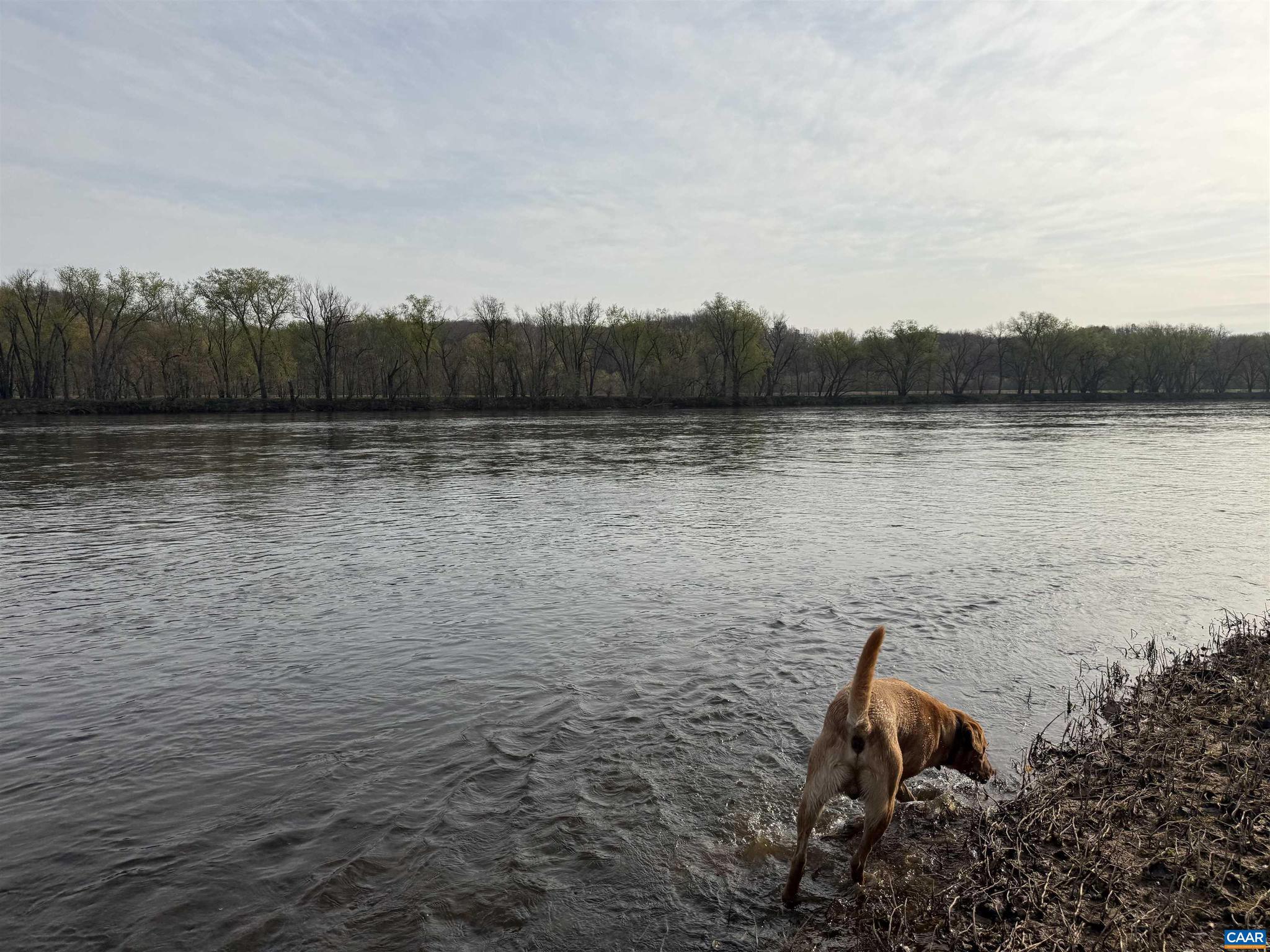 PAYNES MILL POND - Land