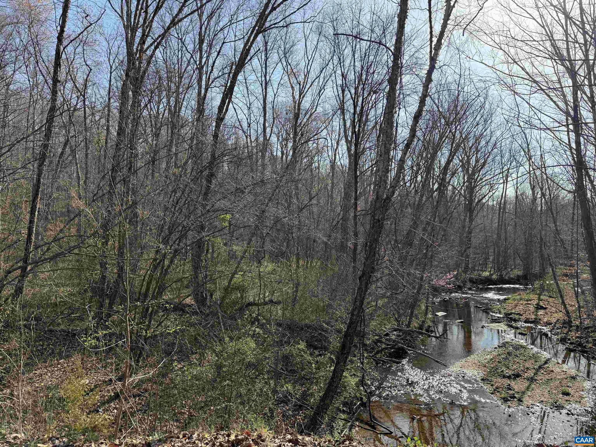 PAYNES MILL POND - Land
