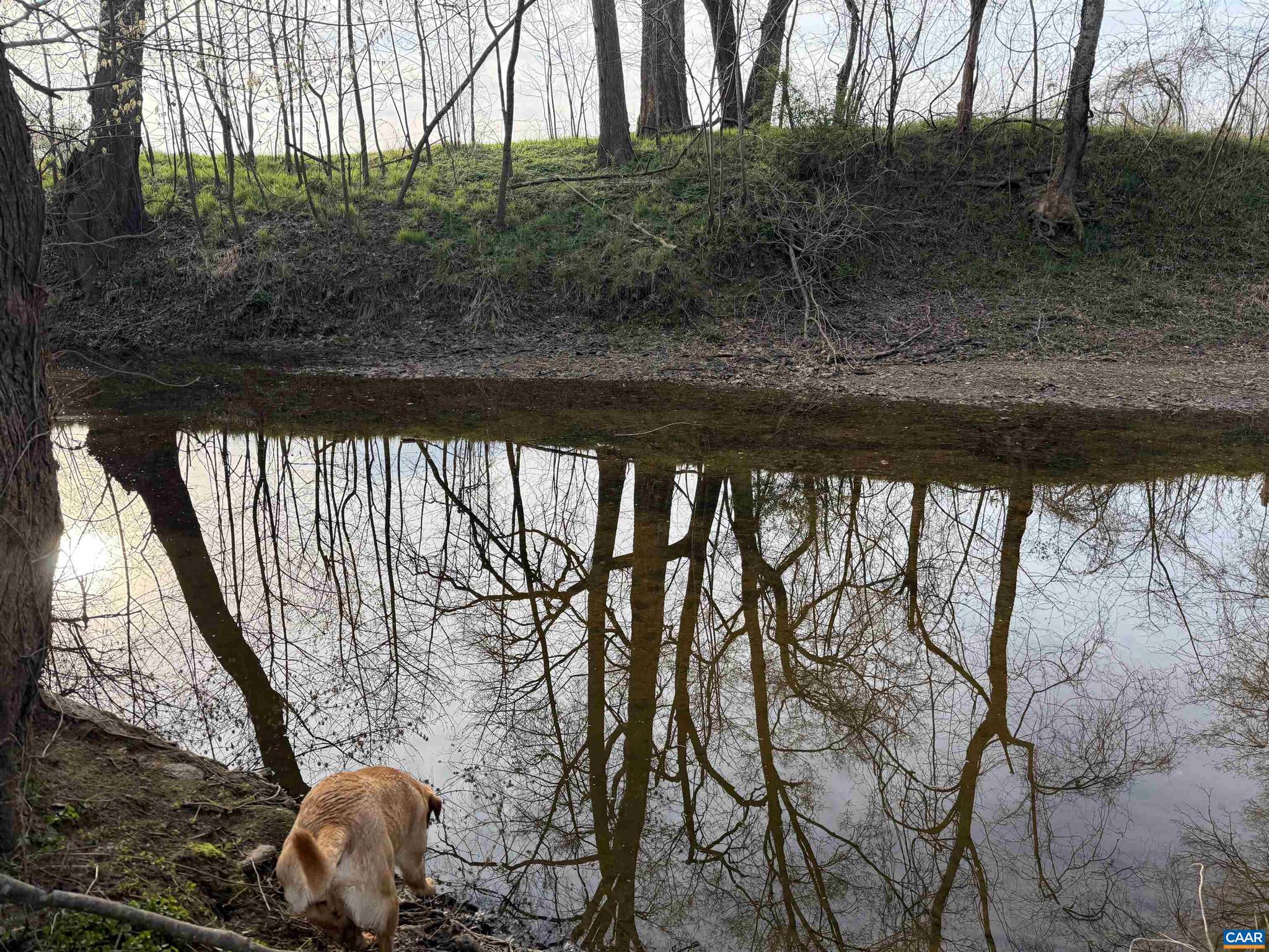 PAYNES MILL POND - Land