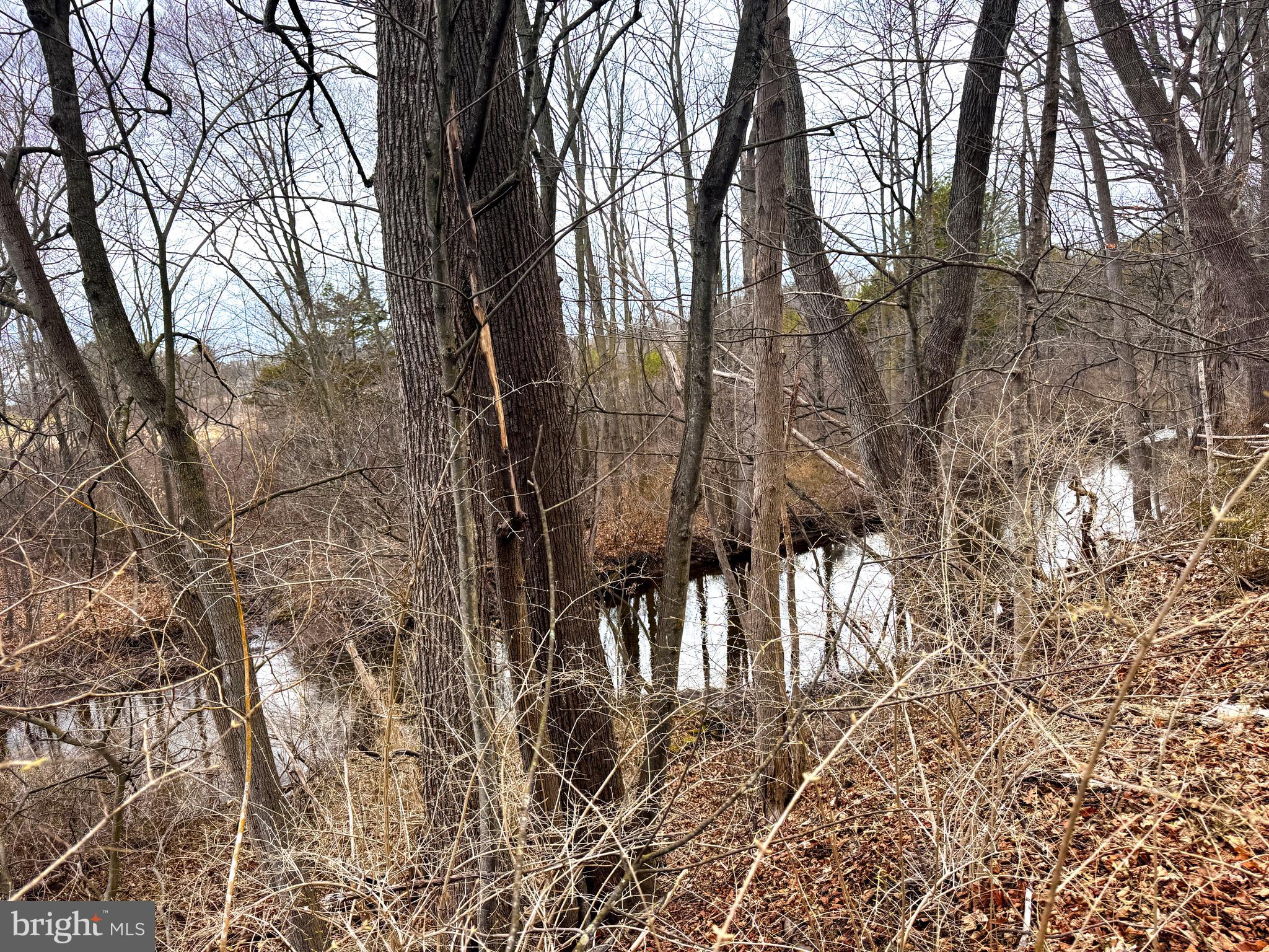 2447 GENERAL POTTER HIGHWAY