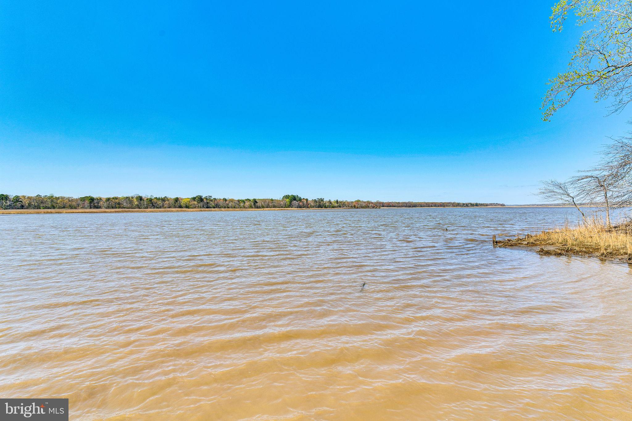 FERRY LANDING WOODS - Residential