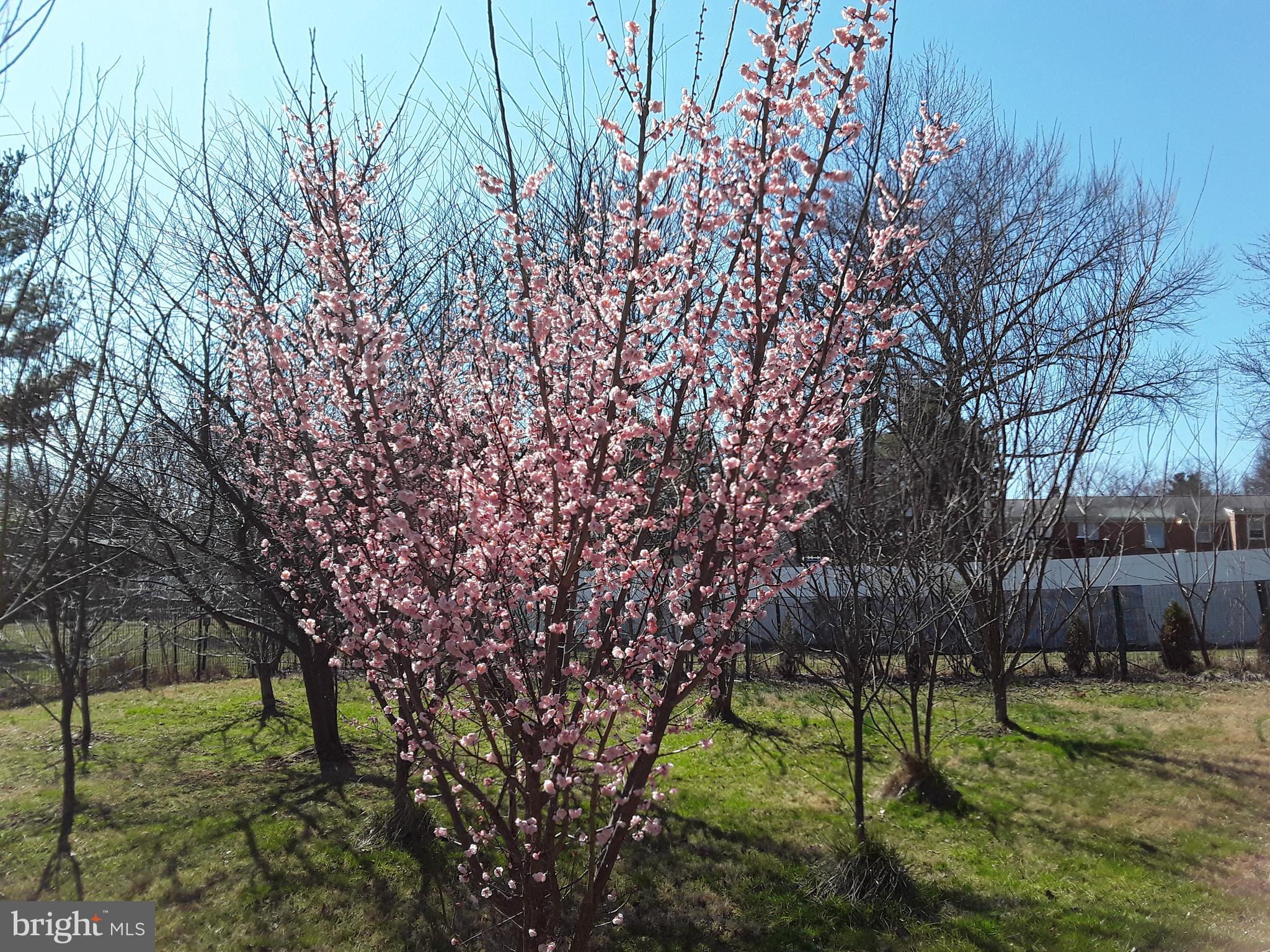 MEADOWVALE - Residential