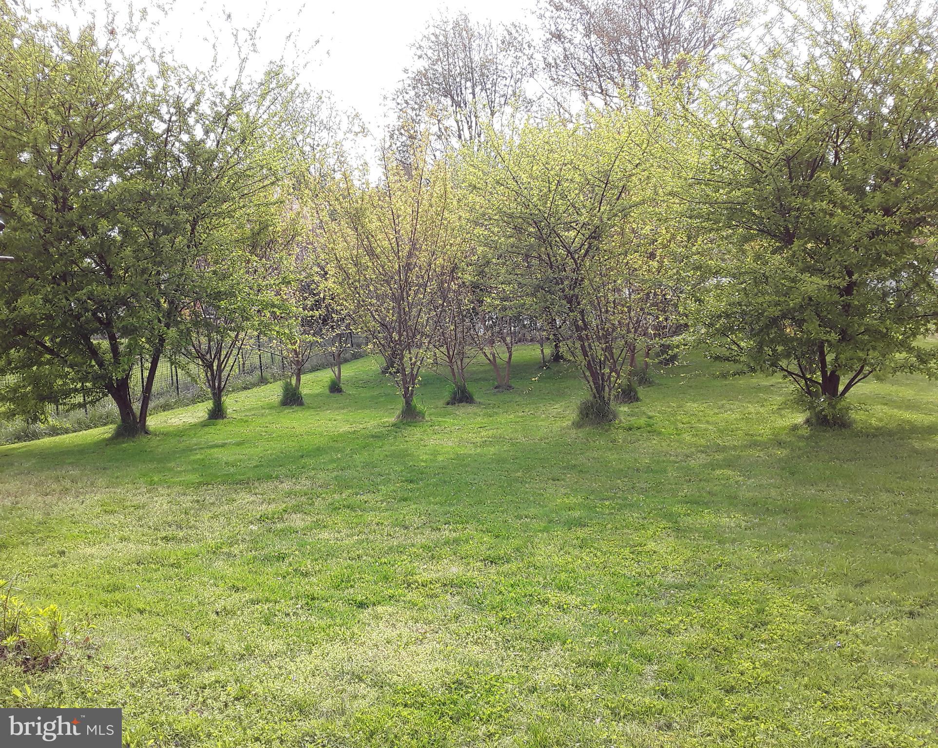 MEADOWVALE - Residential